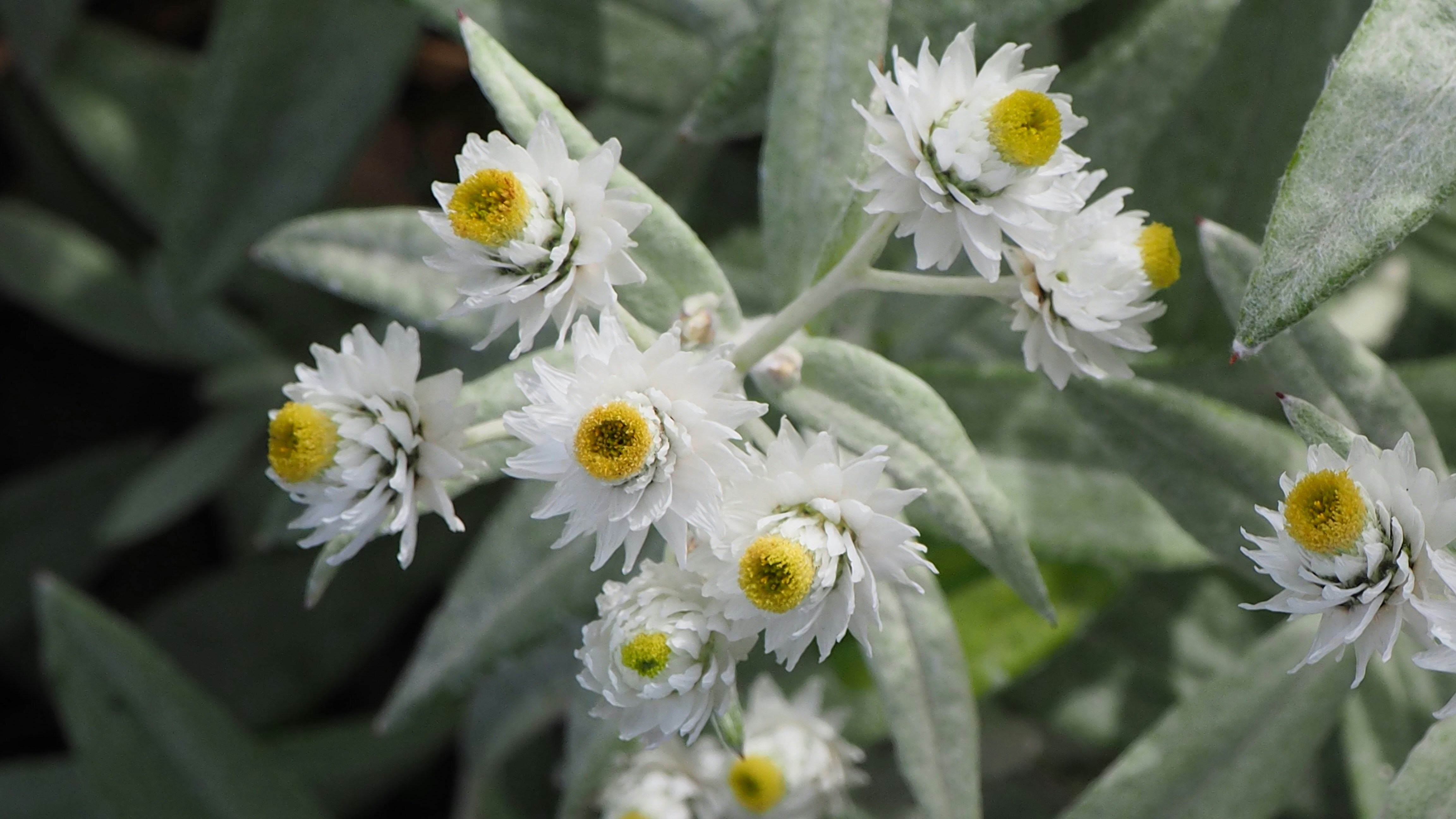 Photo 1697829099267 752a467eda7a