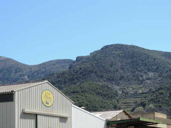 A large industrial building sits in front of a backdrop of rolling green hills under a clear blue sky. The building features a sign with the name 'Le Brin d'Olivier'. The mountainous terrain is covered in trees and vegetation, creating a serene natural setting.