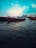 Several boats with red hulls are floating on a vast body of water under a partly cloudy sky. The water has gentle ripples, and the sky is a bright blue with some white clouds.