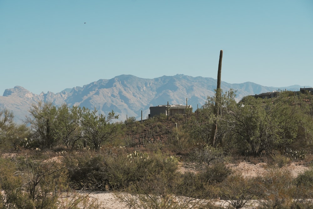 a desert landscape with mountains in the background