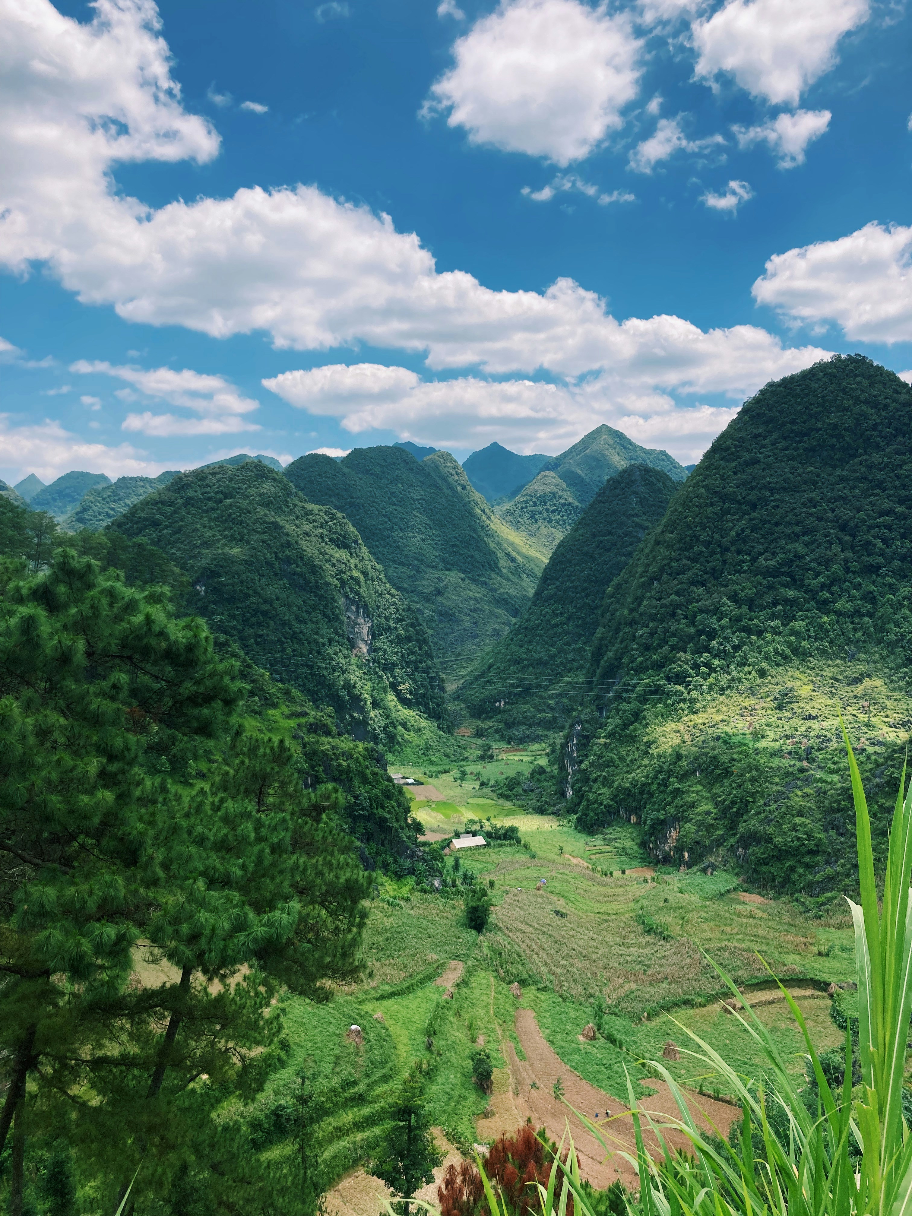 Photo by charlottekarotte