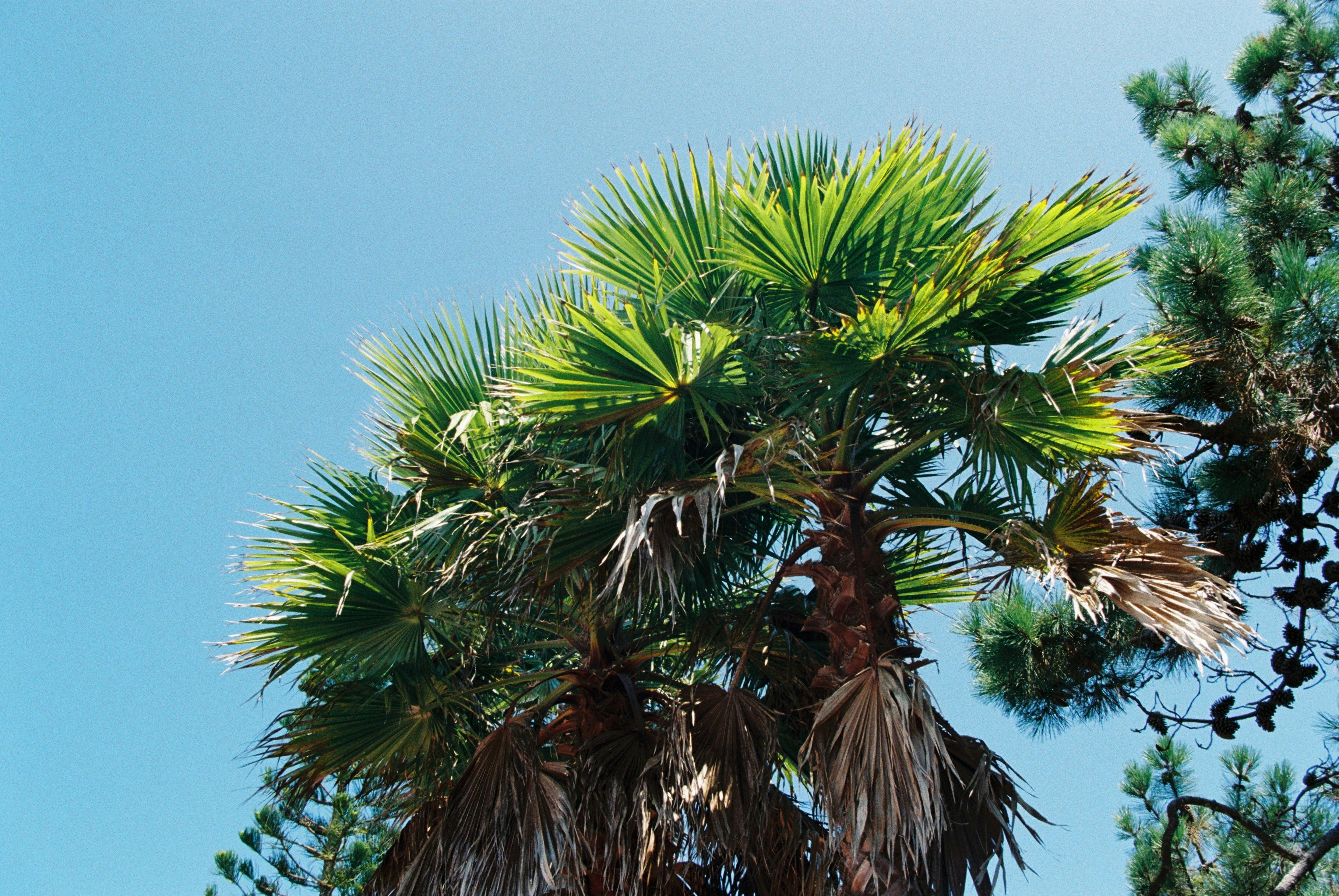 Photo by mrs_clark2006