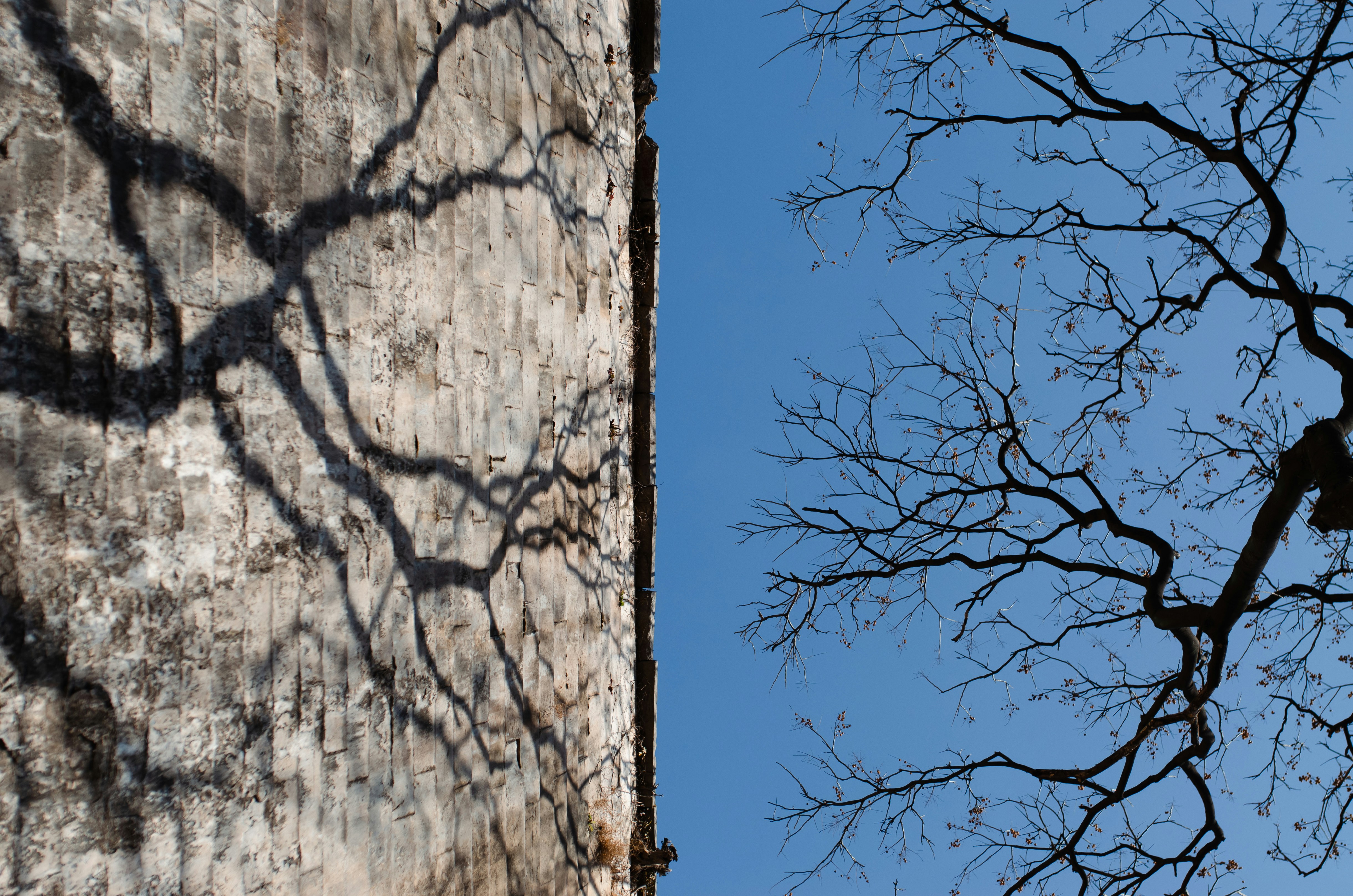 Photo by haydenlllam