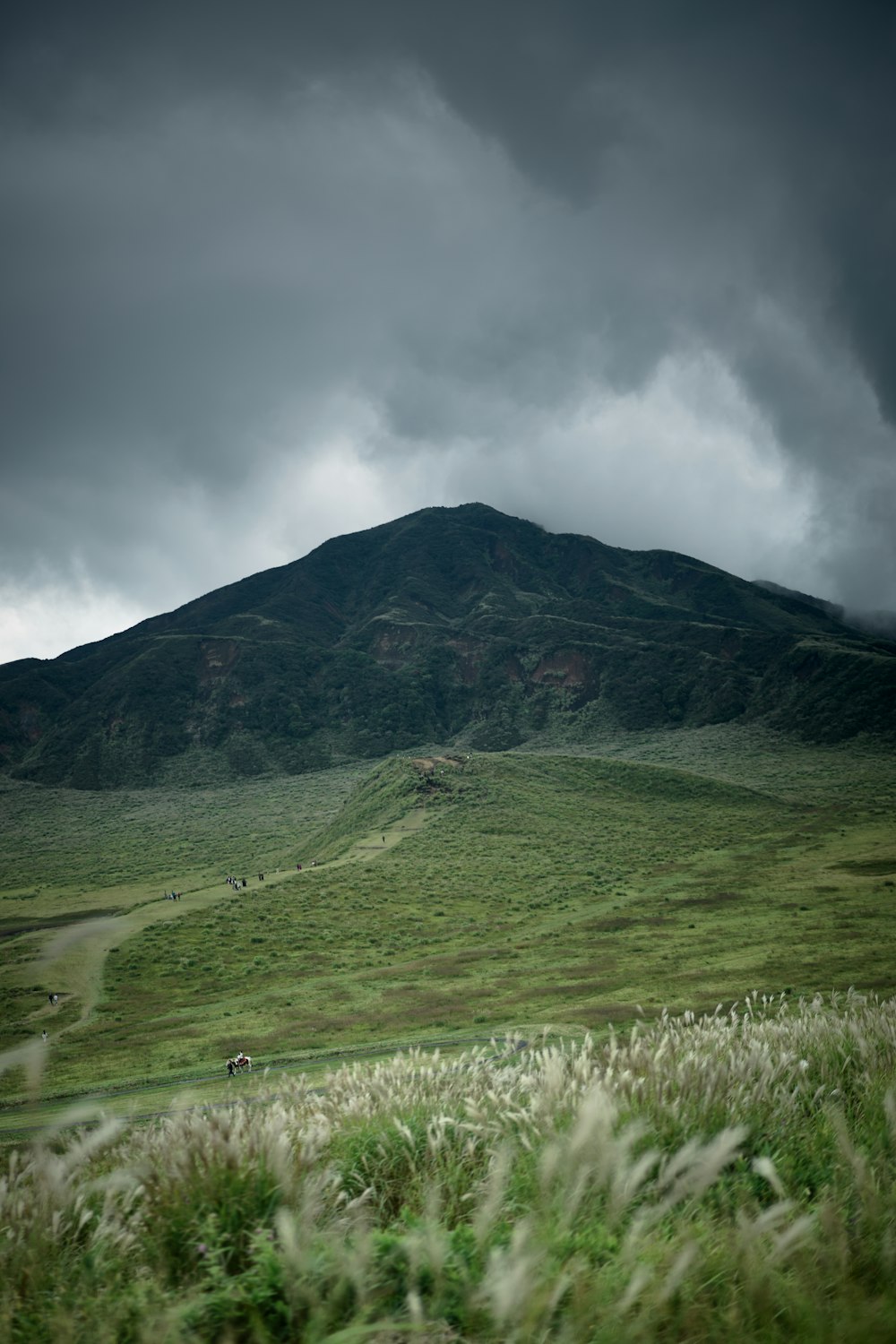 a grassy field with a mountain in the background