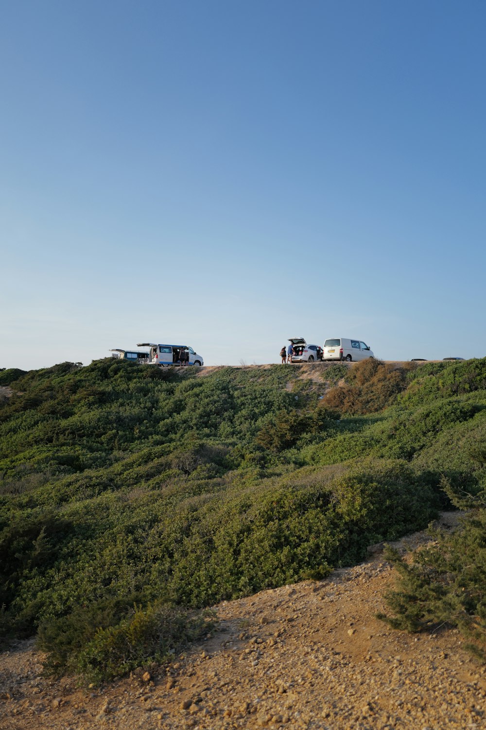 a group of cars parked on top of a lush green hillside