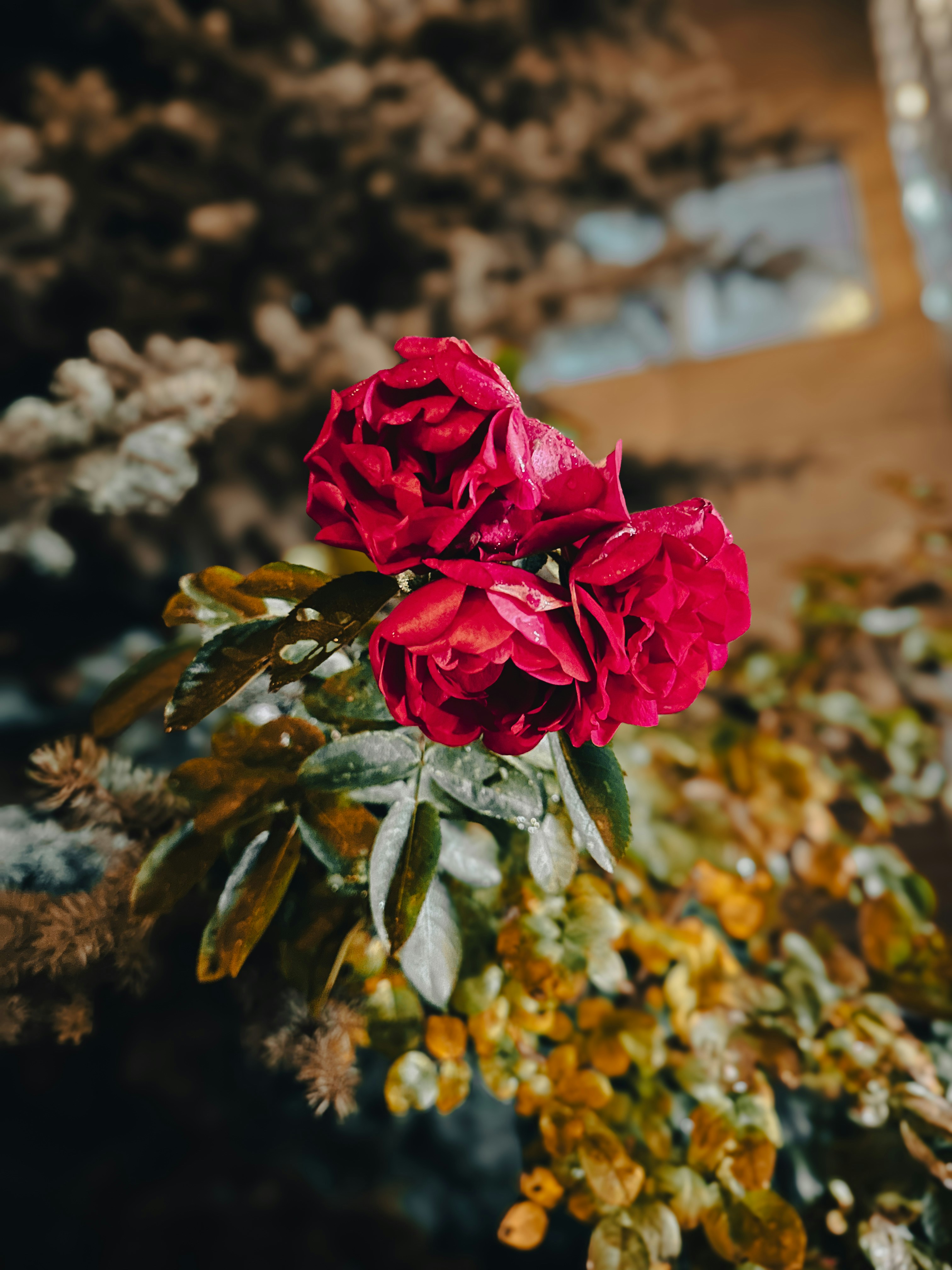 Photo by impossible999