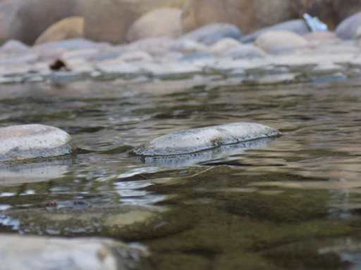 A serene close-up of clear water rippling gently over smooth river stones, reflecting natural earth tones.