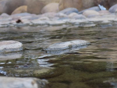 Close-up of smooth stones lining the edge of a tranquil natural pool