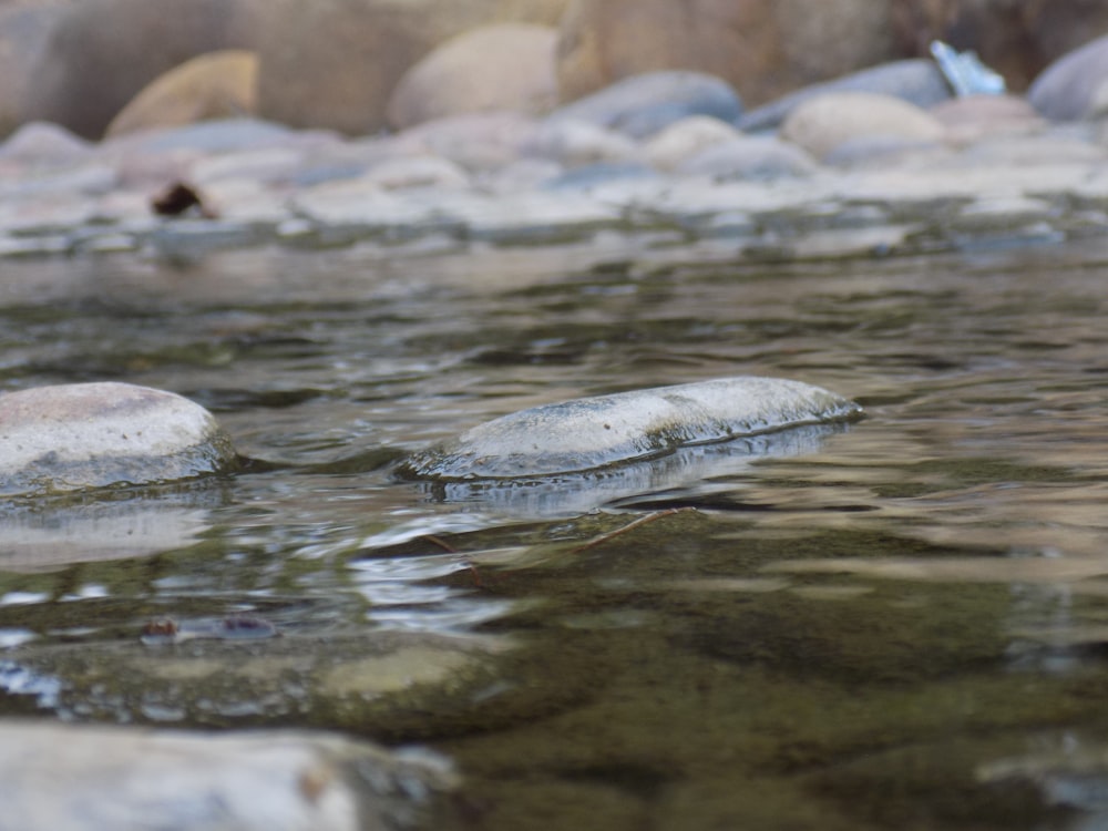 a stream of water with rocks in the background