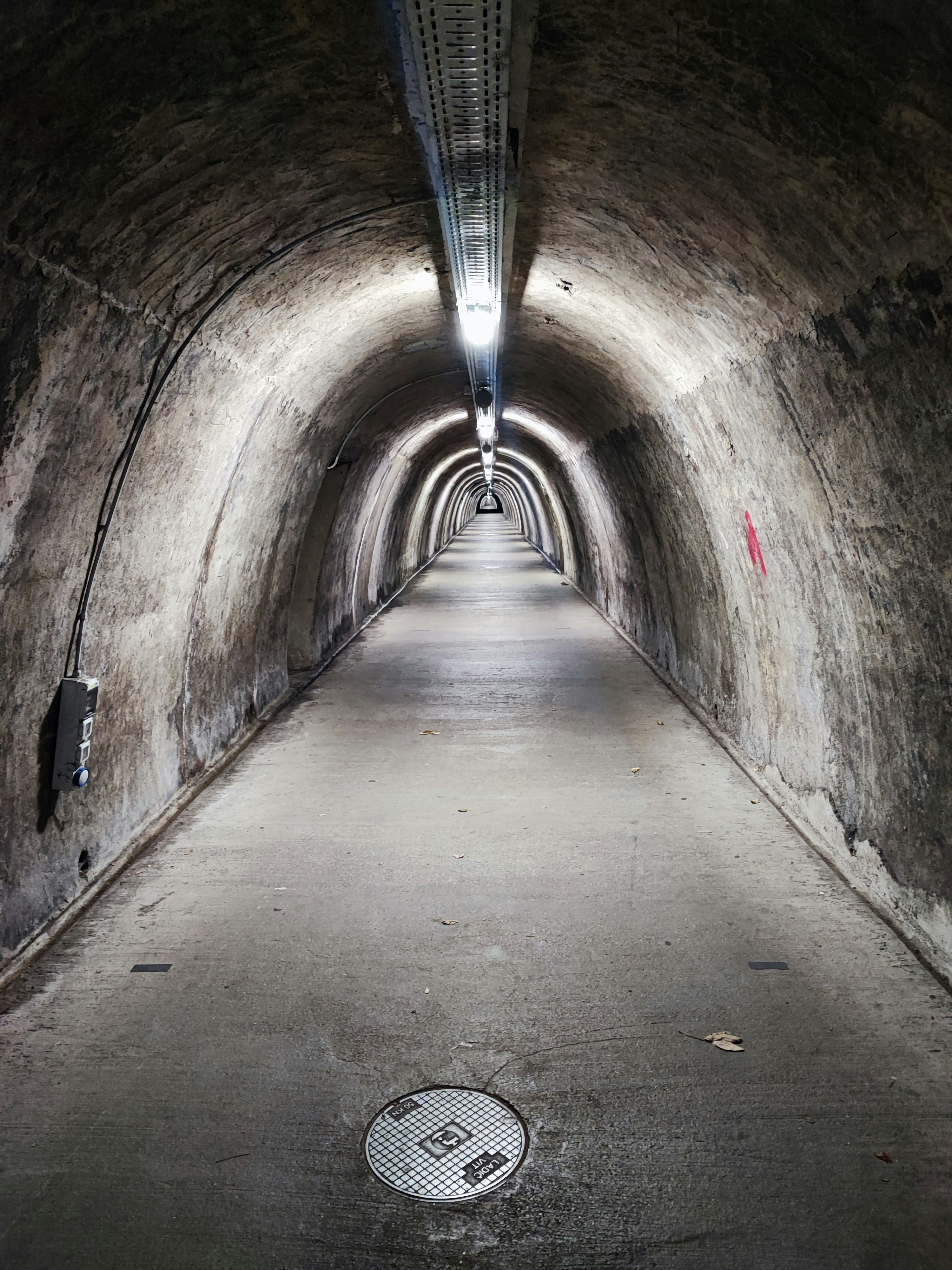 Exploring the Depths: The Story of Tunnel Rats