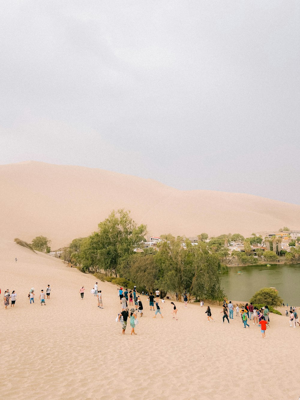 a group of people standing on top of a sandy beach