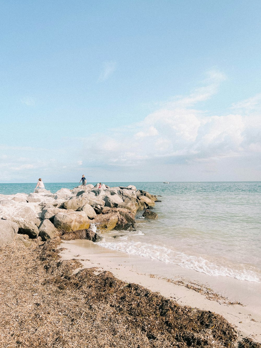 a couple of people standing on top of a beach next to the ocean