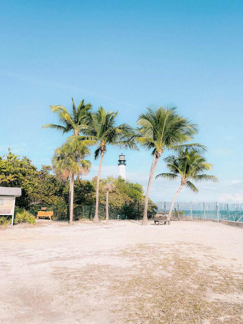 a beach with palm trees and a light house in the background