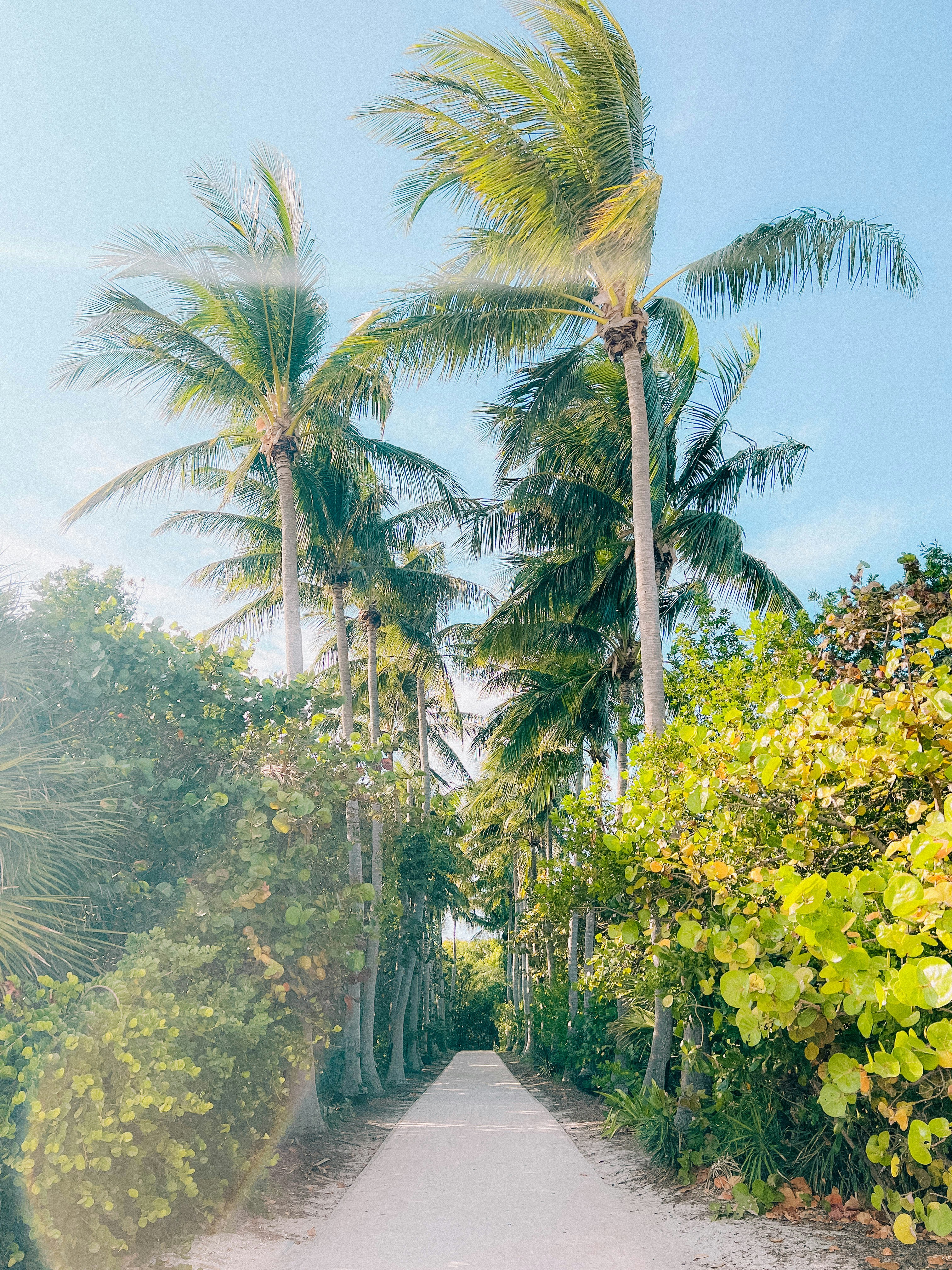 Photo by palliummedia