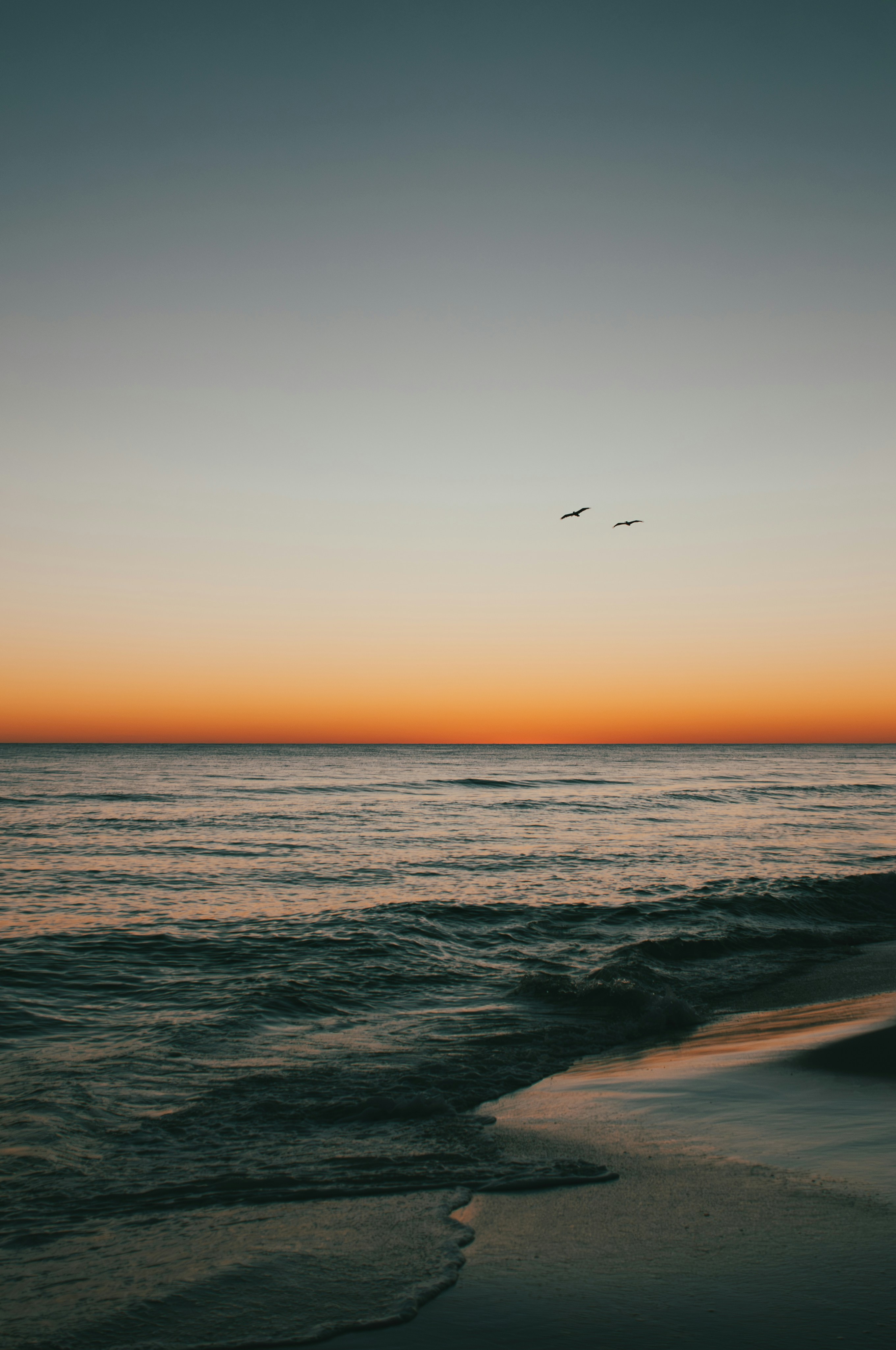 Photo by itscameracole_