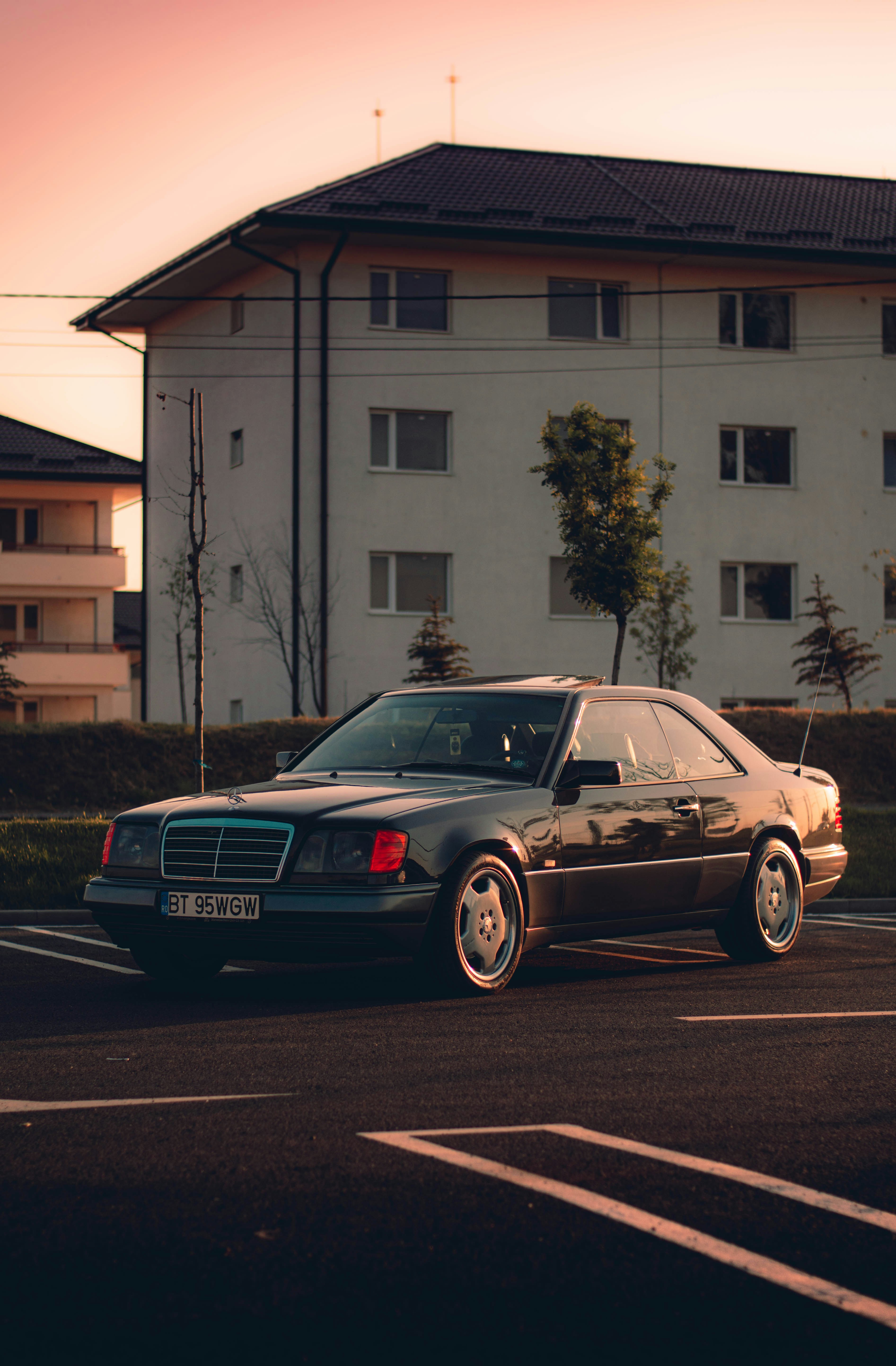 Photo by tlcvisuals