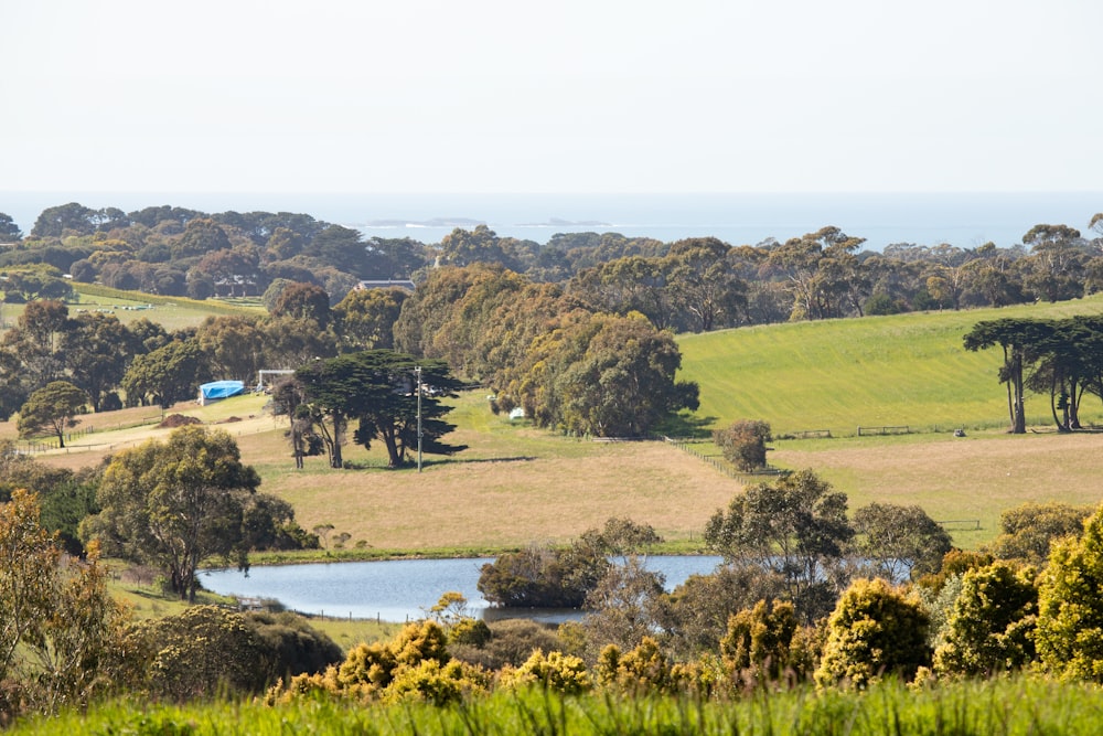 a grassy field with trees and a lake