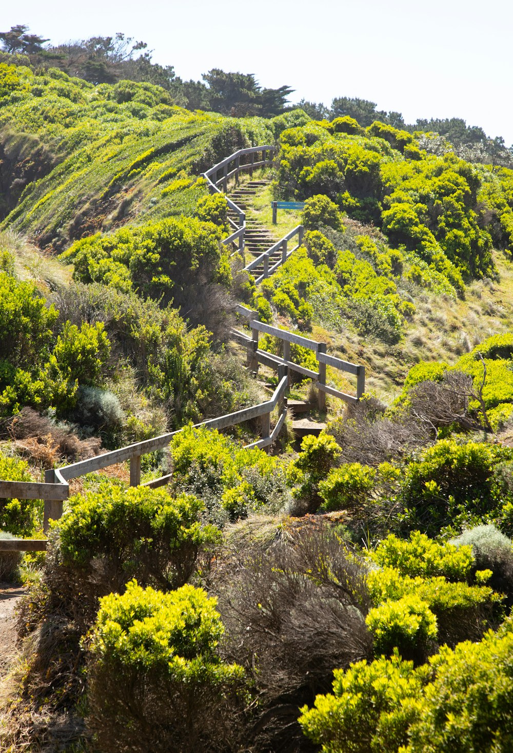 a group of wooden steps going up a hill