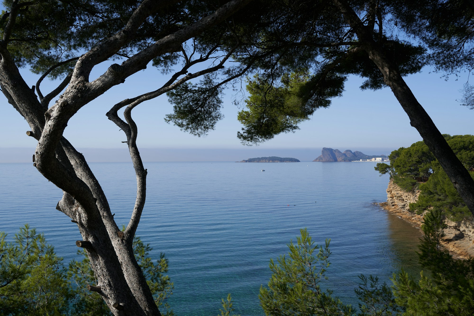 La Ciotat Culture & Traditions: History, Customs, Festivals