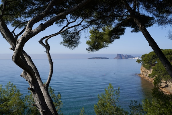 La Ciotat Culture & Traditions: History, Customs, Festivals