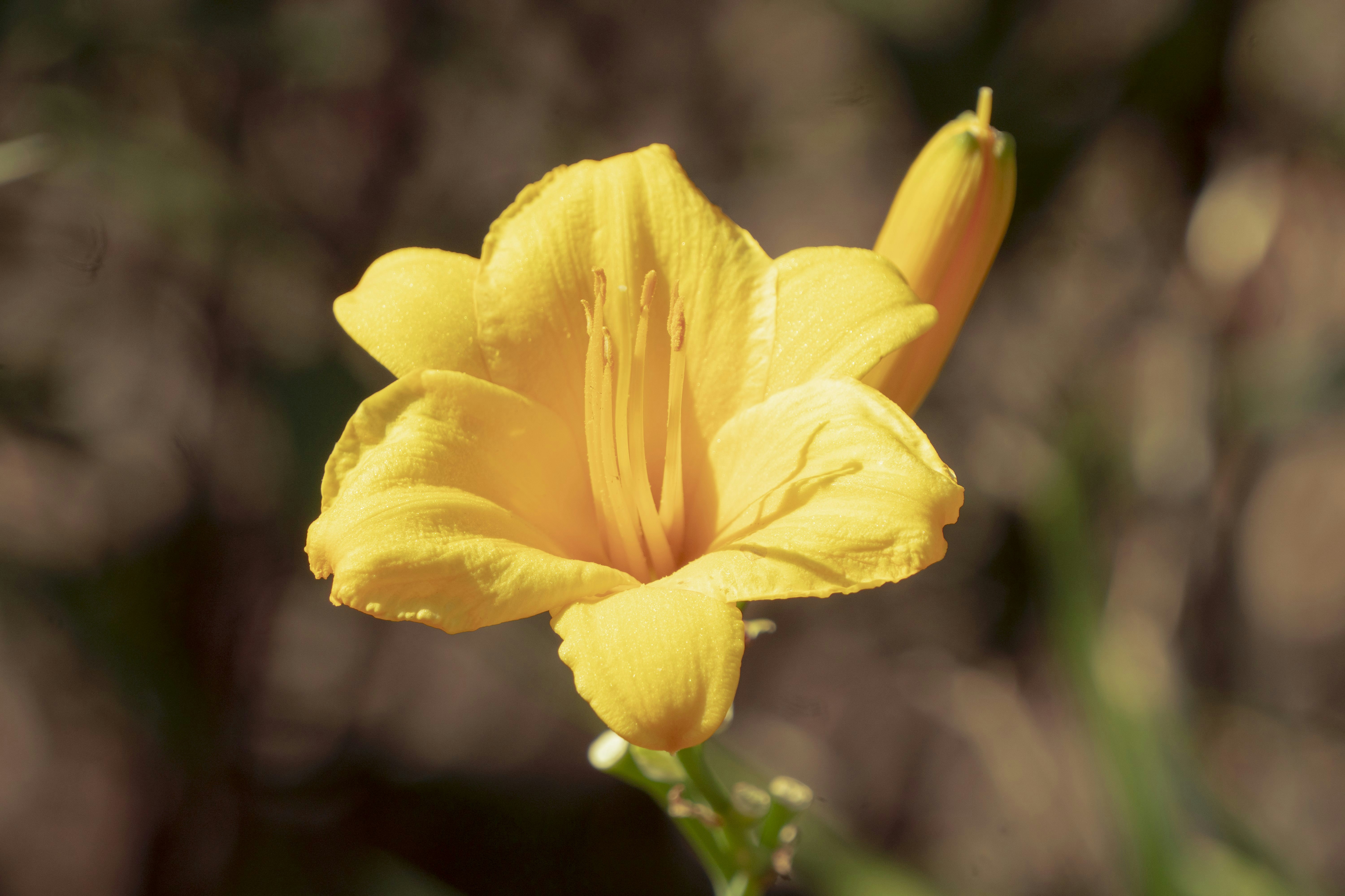 Photo by chandlerlangley