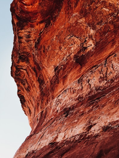 A detailed close-up of layered geological rock formations under natural light.