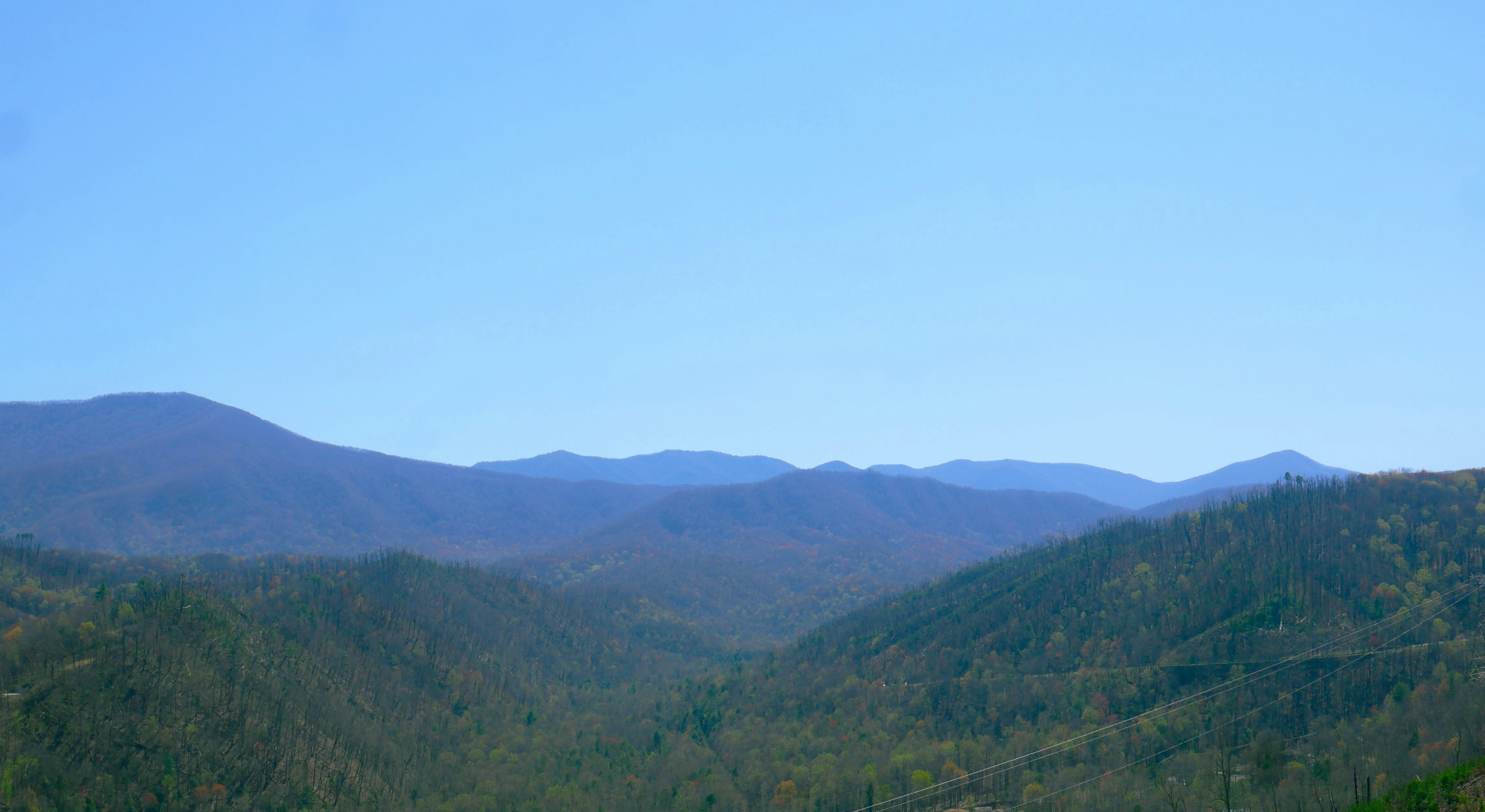 Photo by chandlerlangley