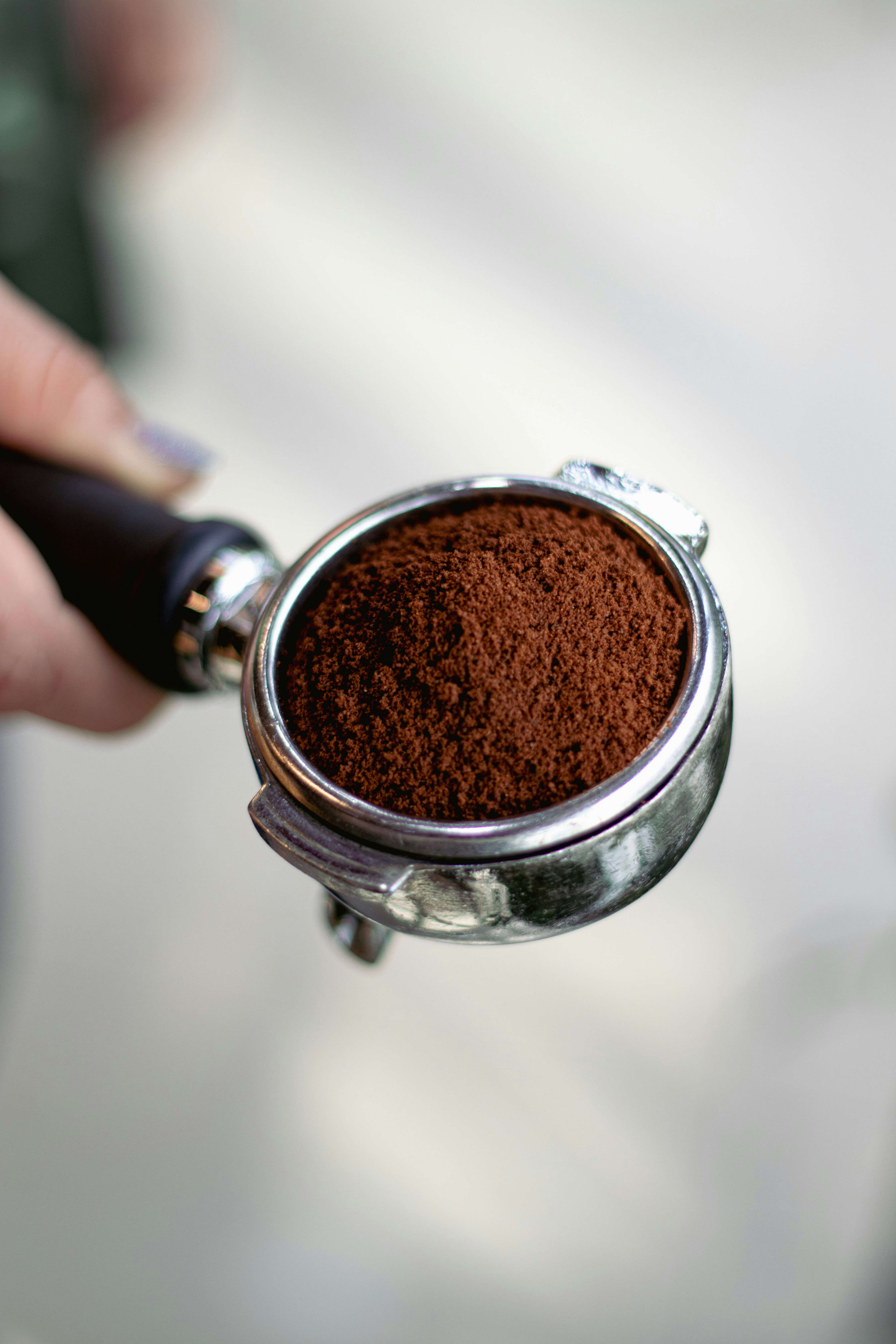 Photo by farzanfarzadi