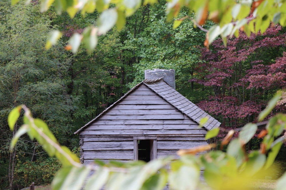 a small wooden cabin in the middle of a forest