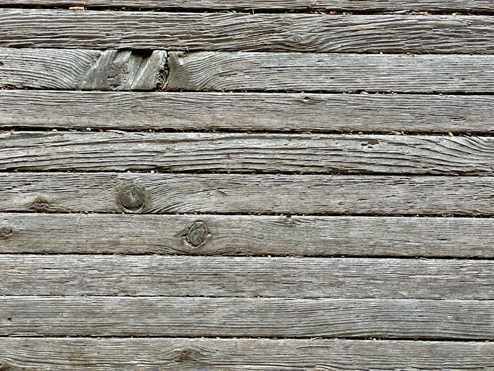 a close up of a wooden fence with a bird on it