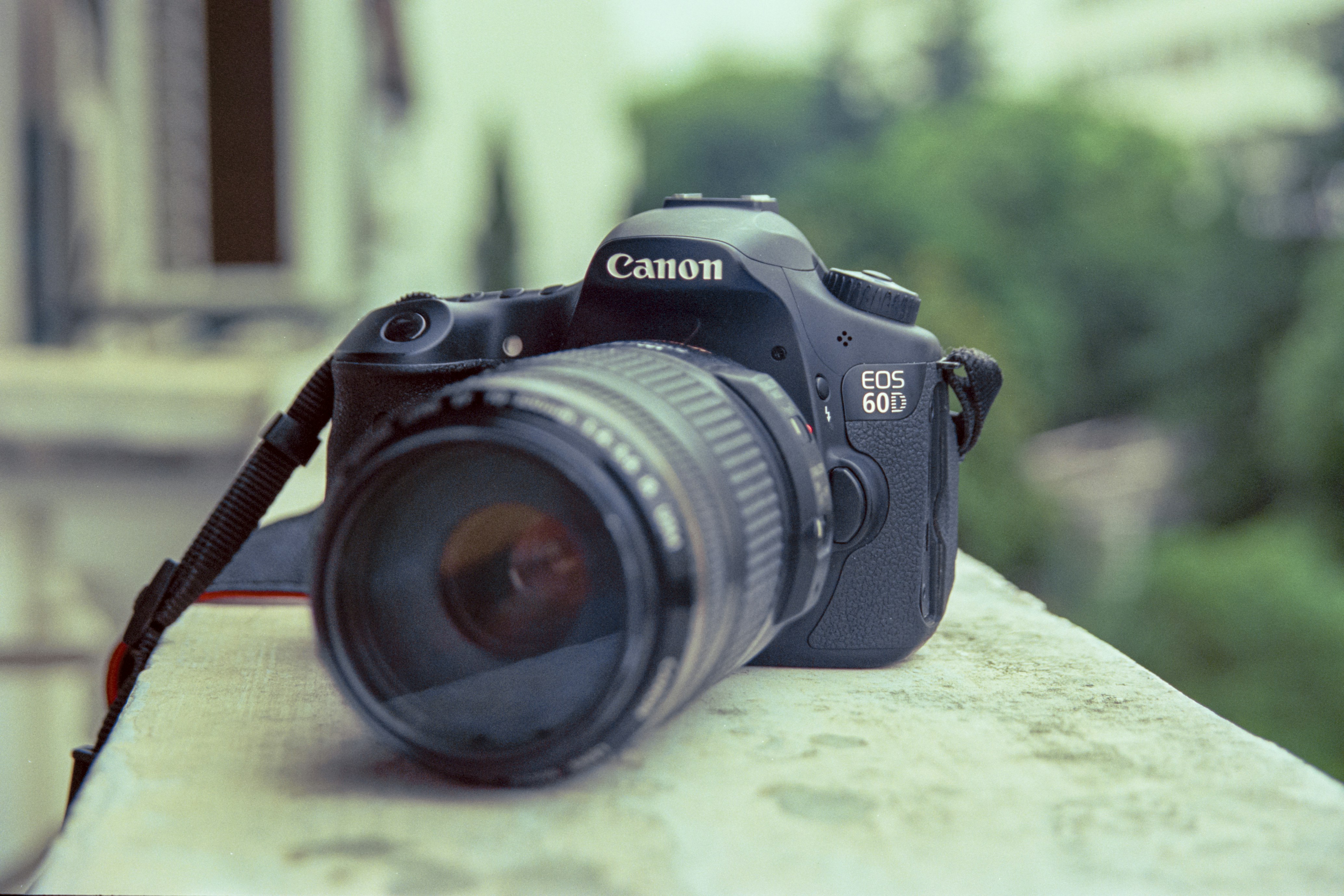 Photo by kevinwang413156