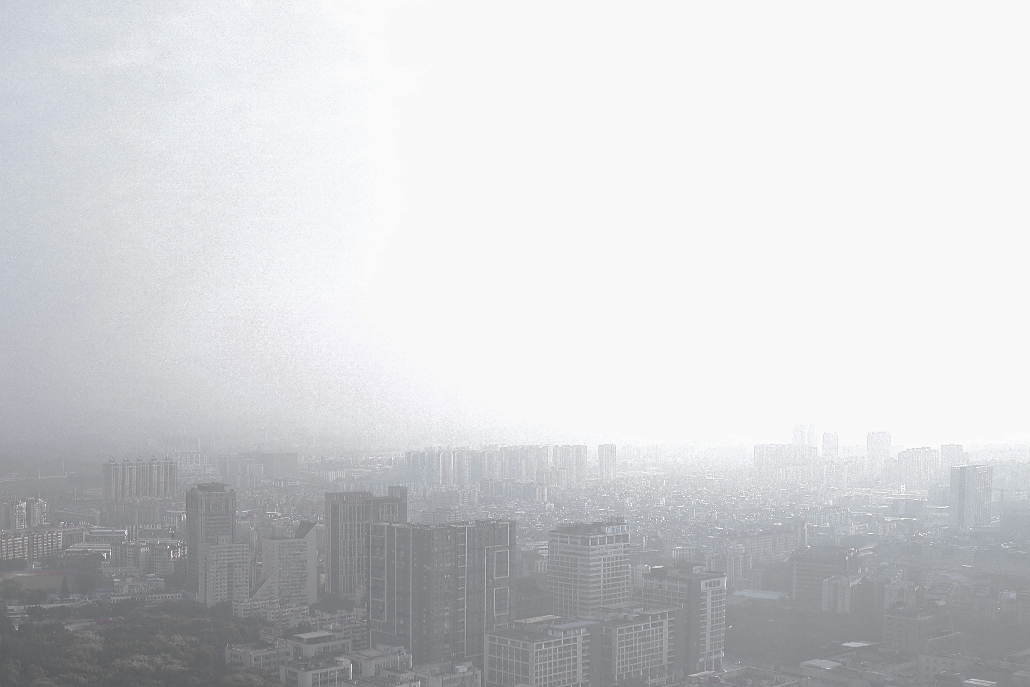 Photo by andreifuentebella