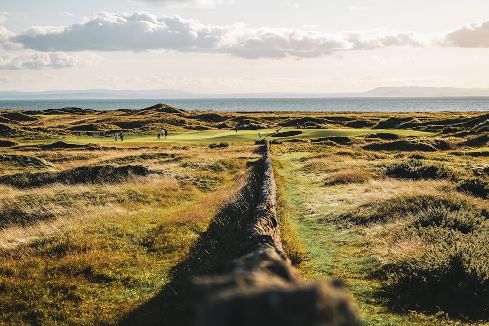 a grassy field with a dirt path leading to the ocean