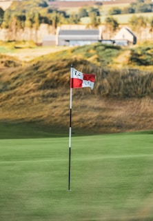 A golf course with a red and white flag marked with the number 12 on a pole. The green expanse surrounds it, and there is a backdrop of lush trees and a building in the distance.