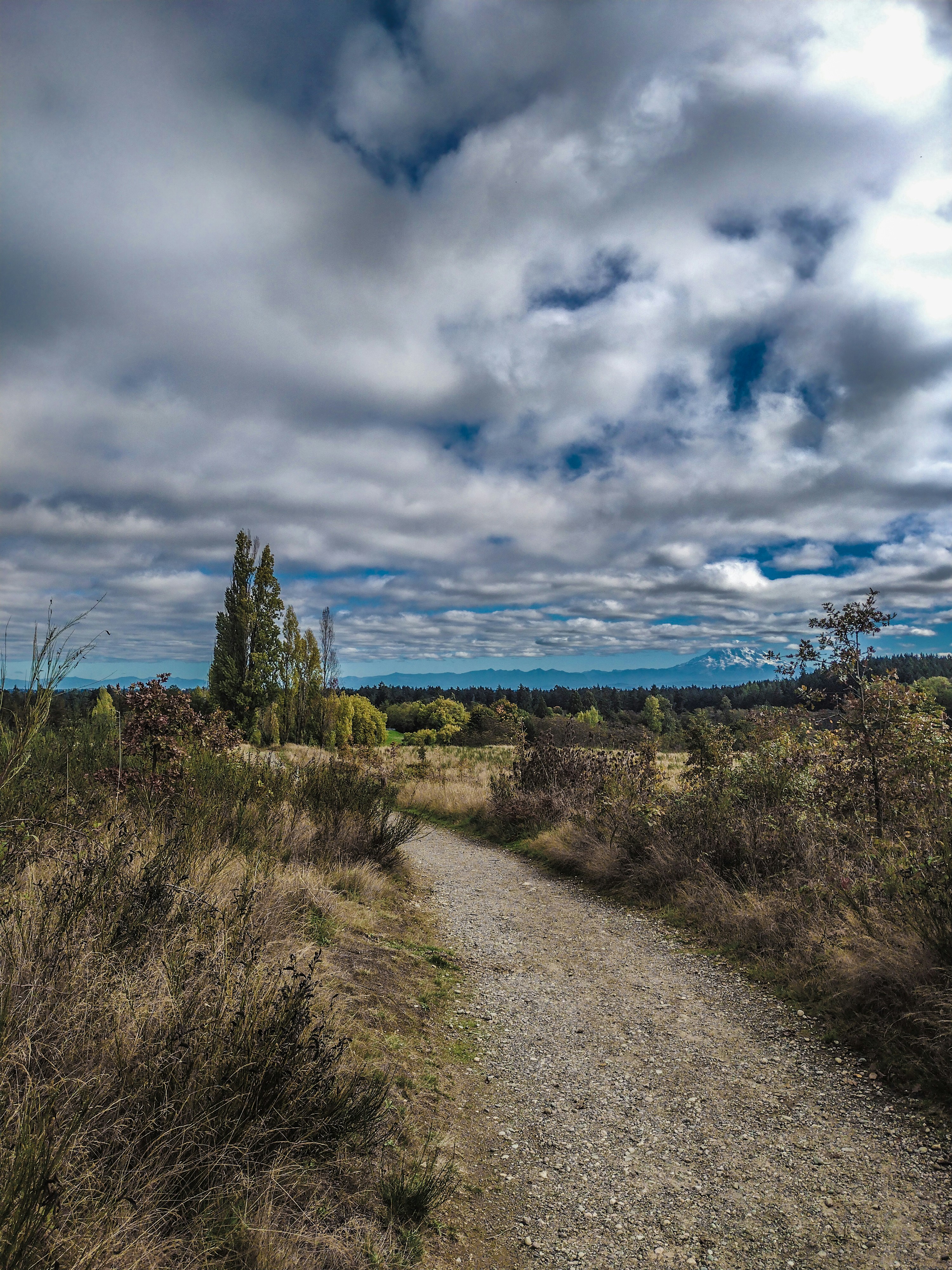 Photo by prphotography262