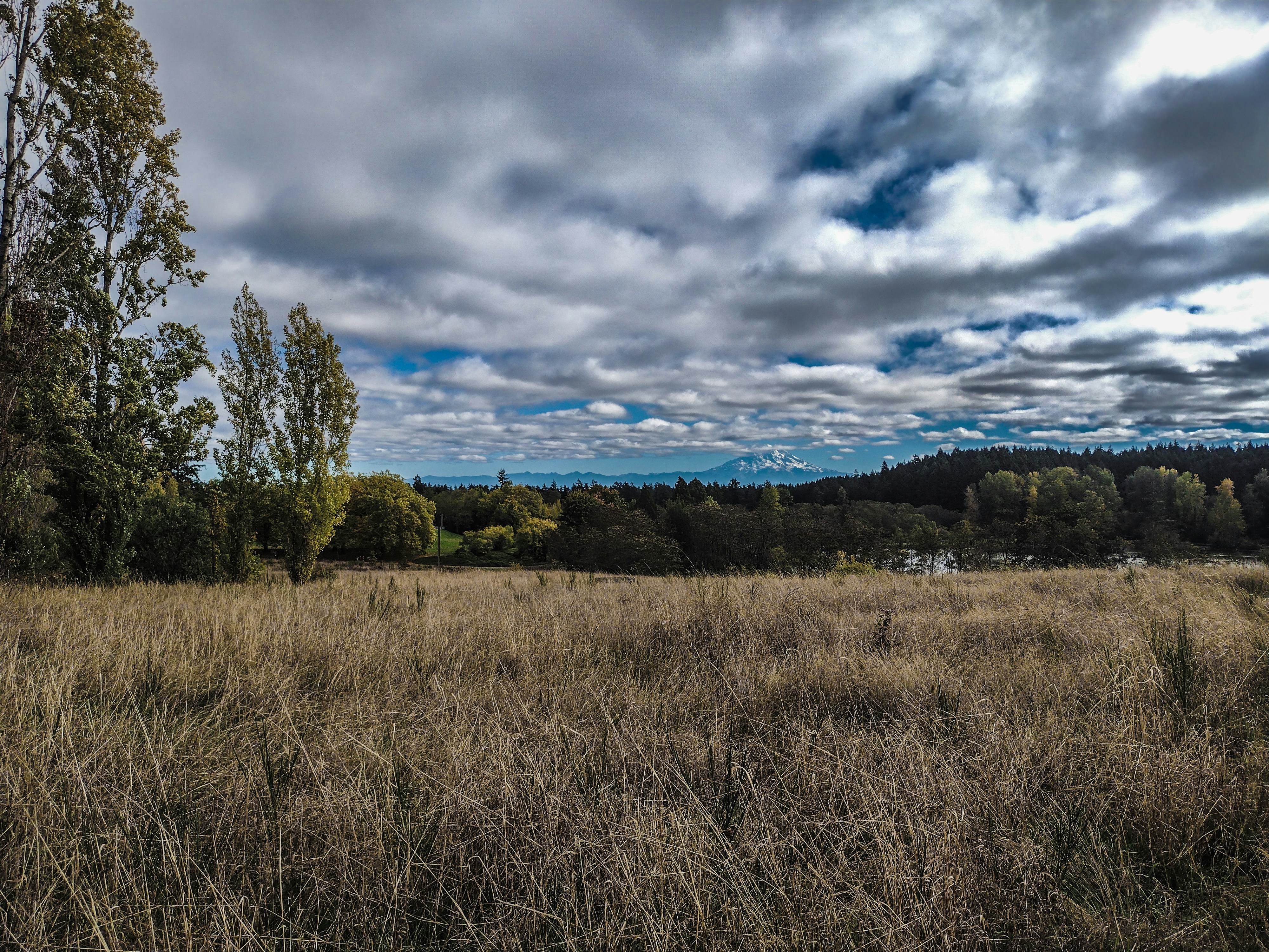 Photo by prphotography262