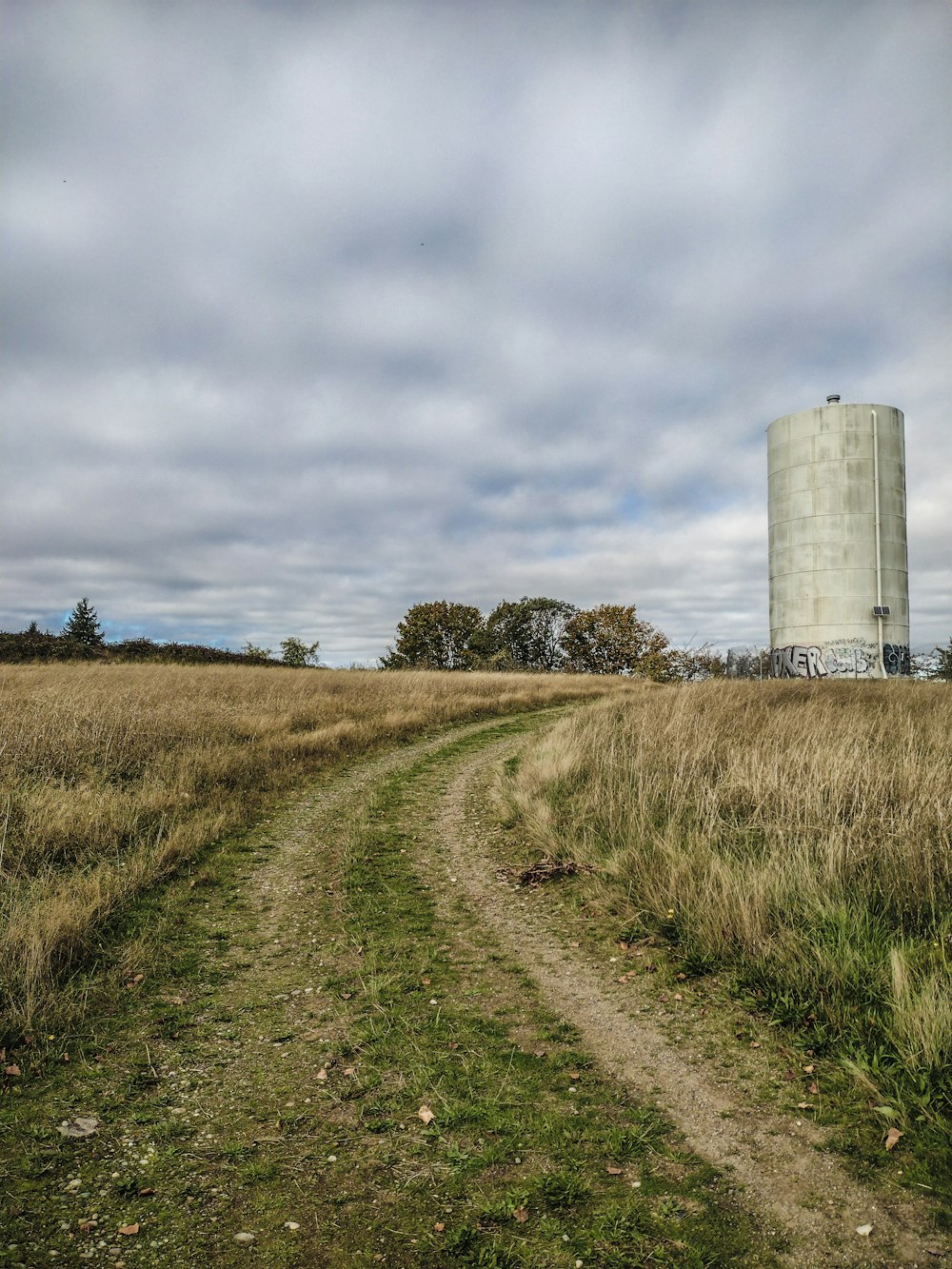 a dirt road in a field with a silo in the background