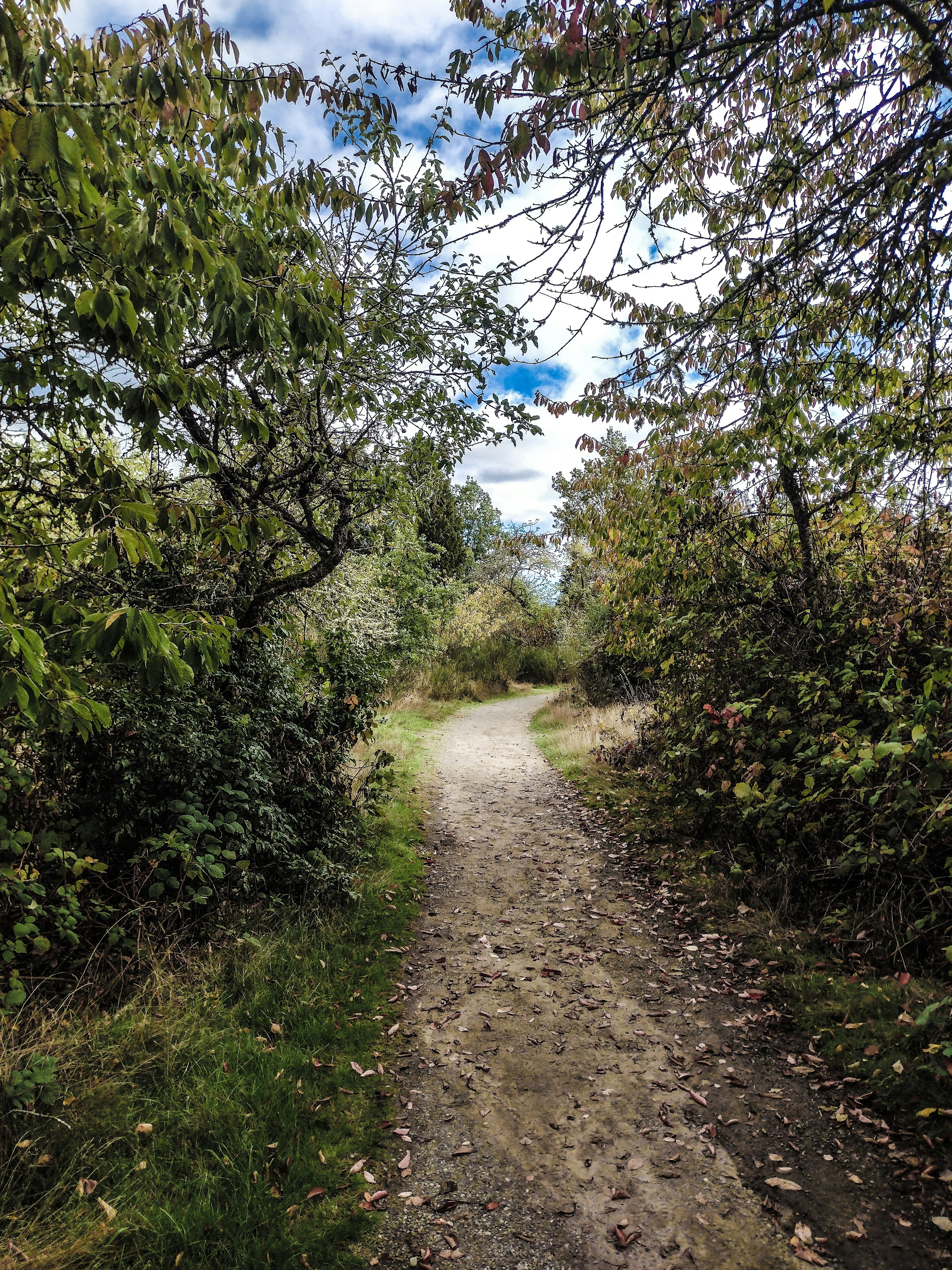 Photo by prphotography262