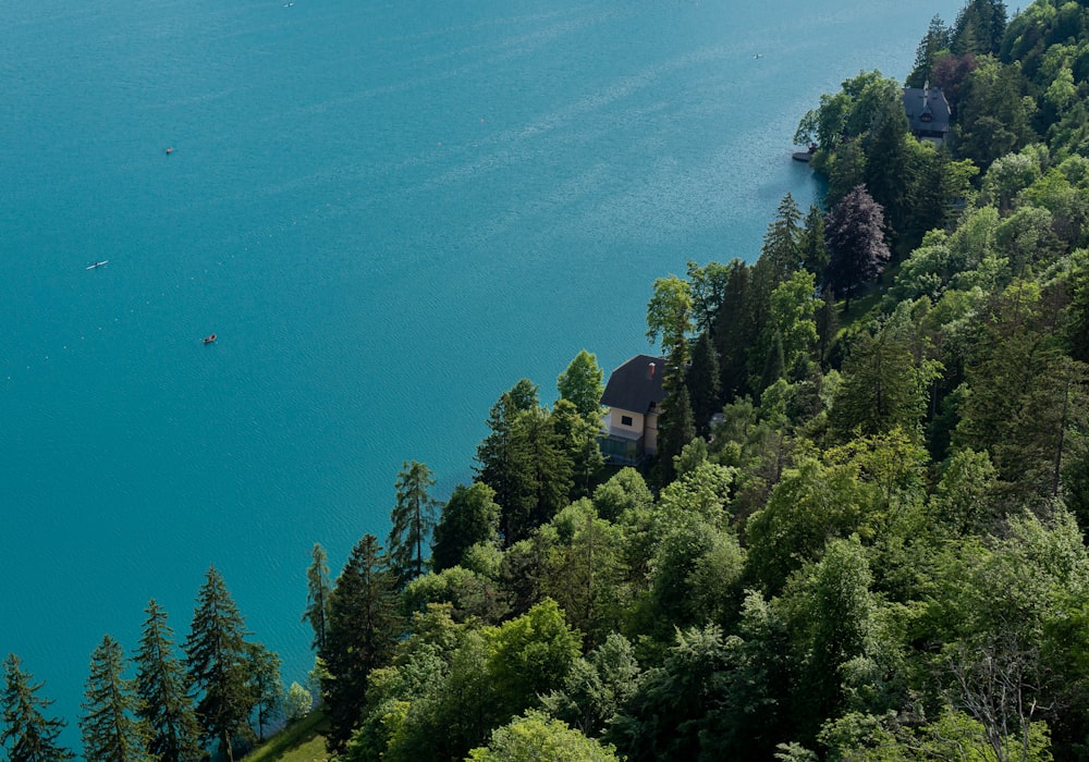 a large body of water surrounded by trees