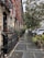 A city street lined with historic brownstone buildings on one side, featuring decorative iron railings and steps leading to entrances. Trees line the sidewalk, and a parked white car is visible. The pavement is wet, suggesting recent rain, and there are patches of greenery and potted plants along the sidewalk.