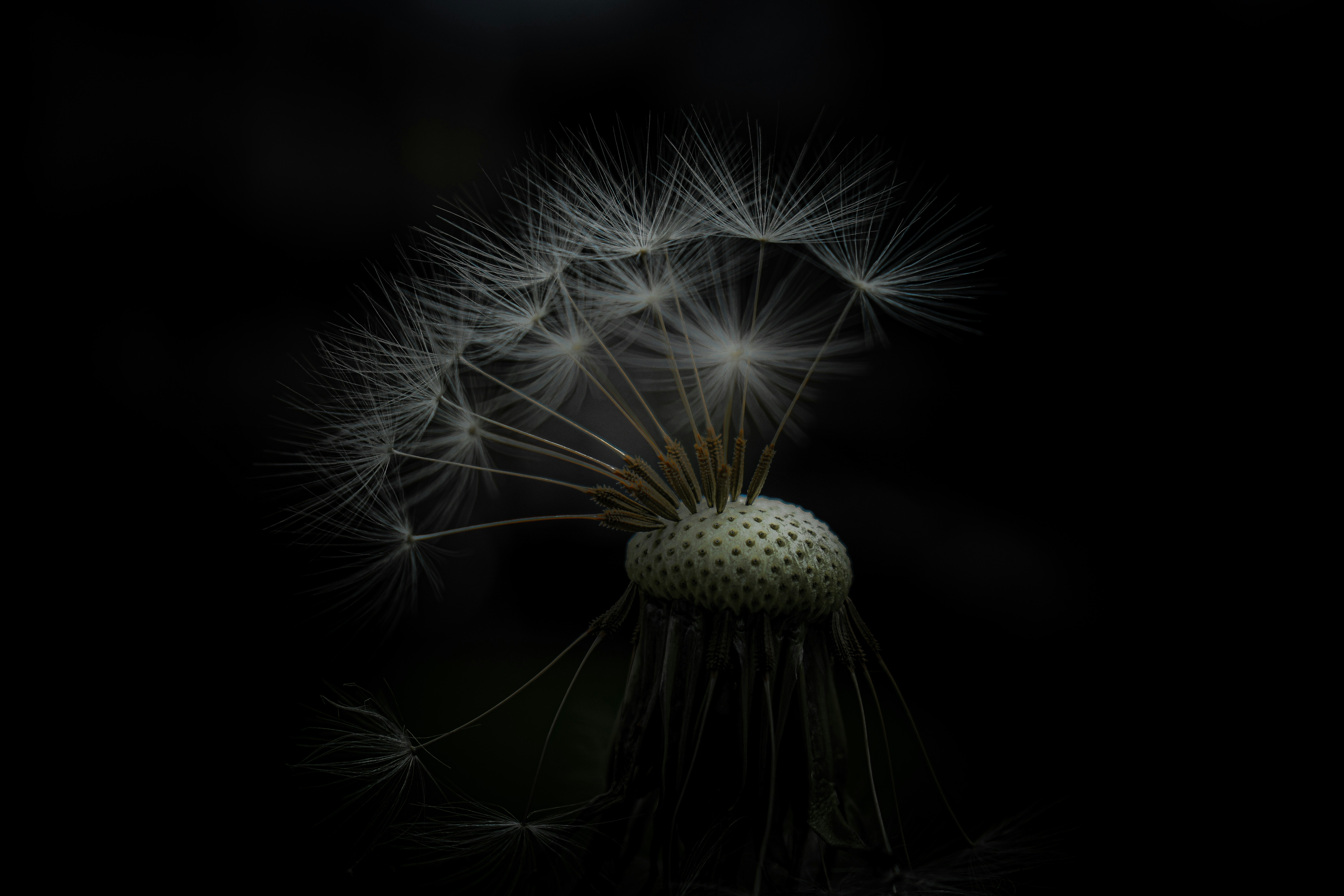 Photo by jfgarces64