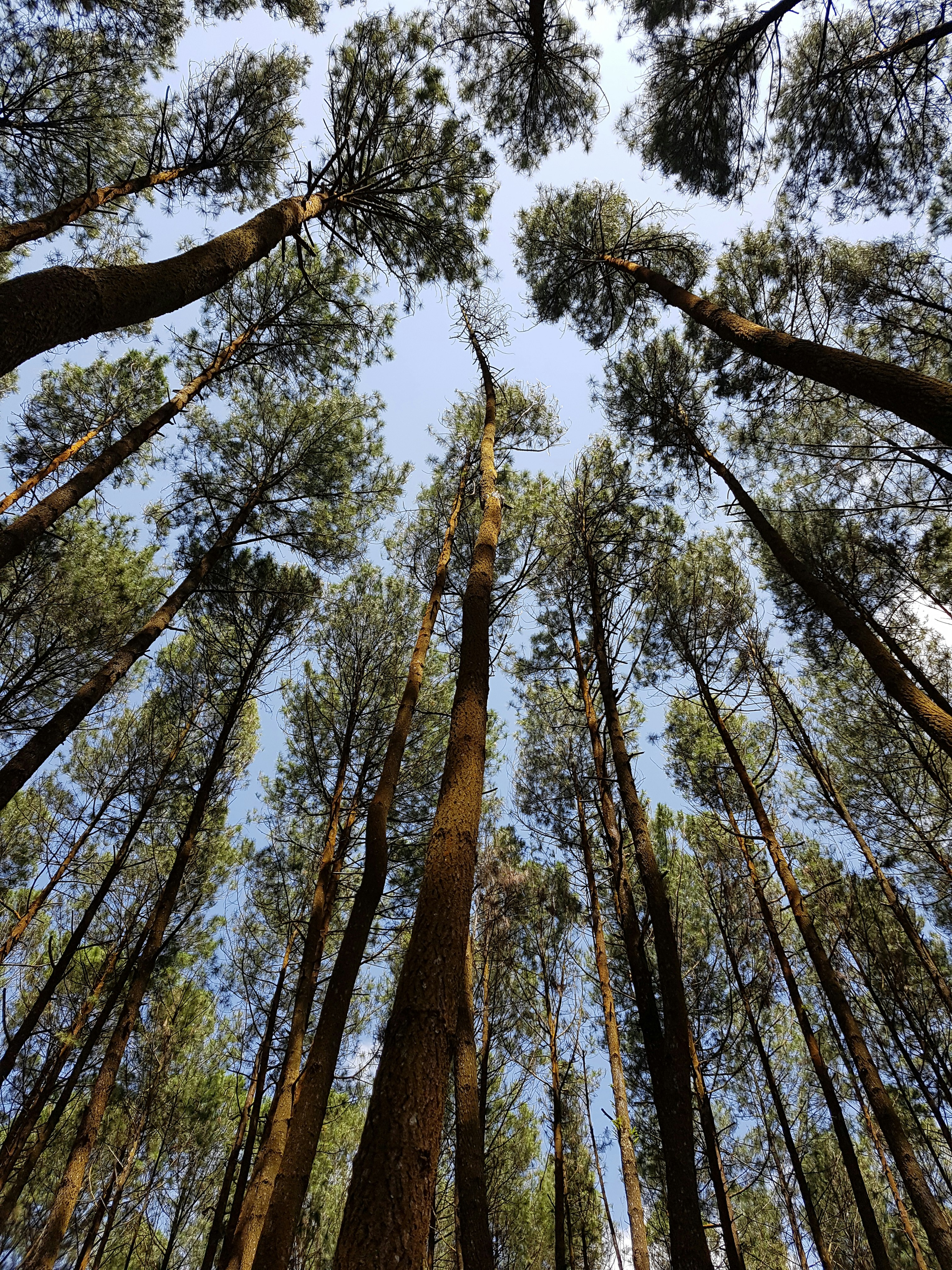 Photo by goodteadesign