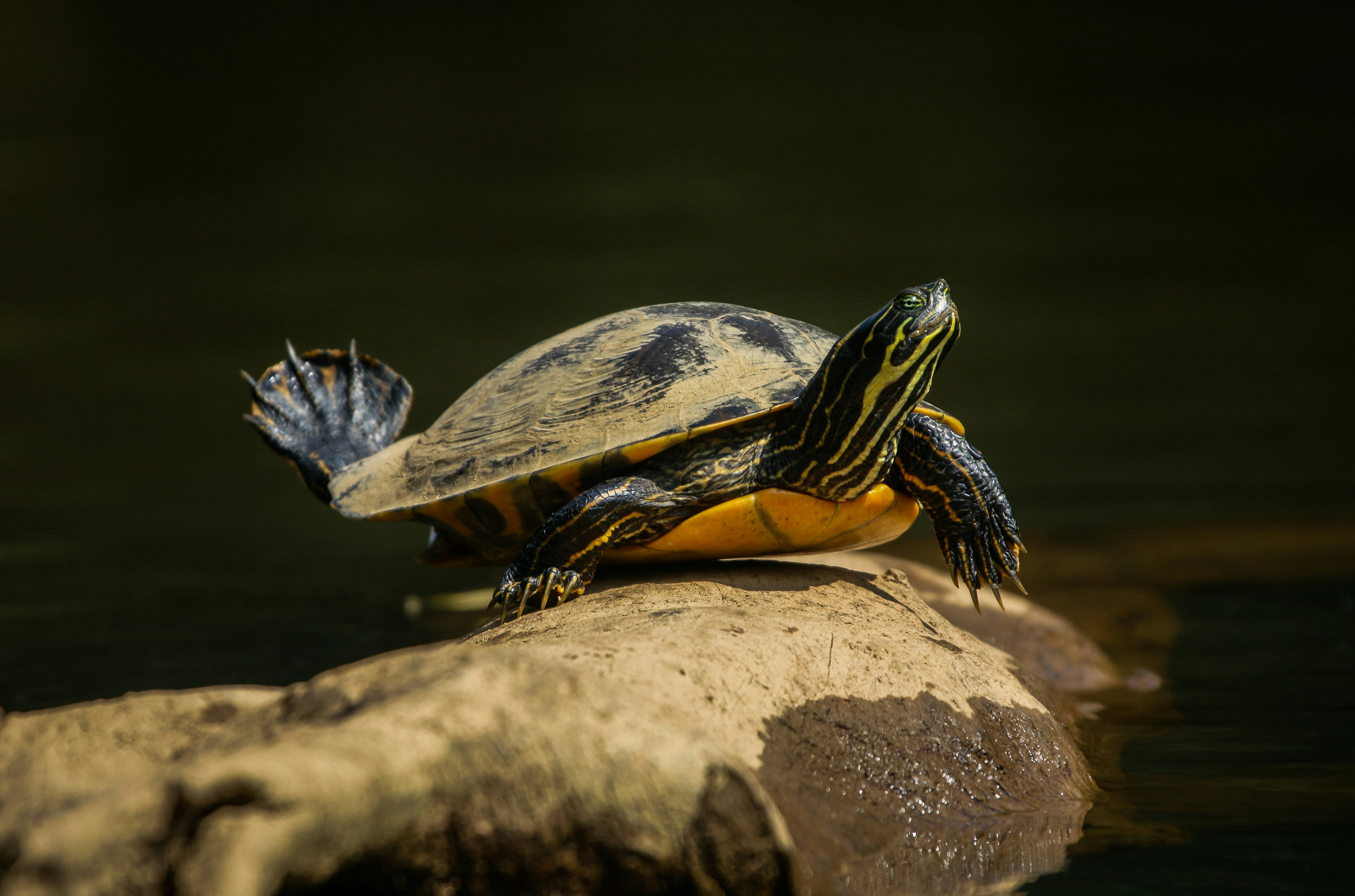 Photo by alla_kemelmakher