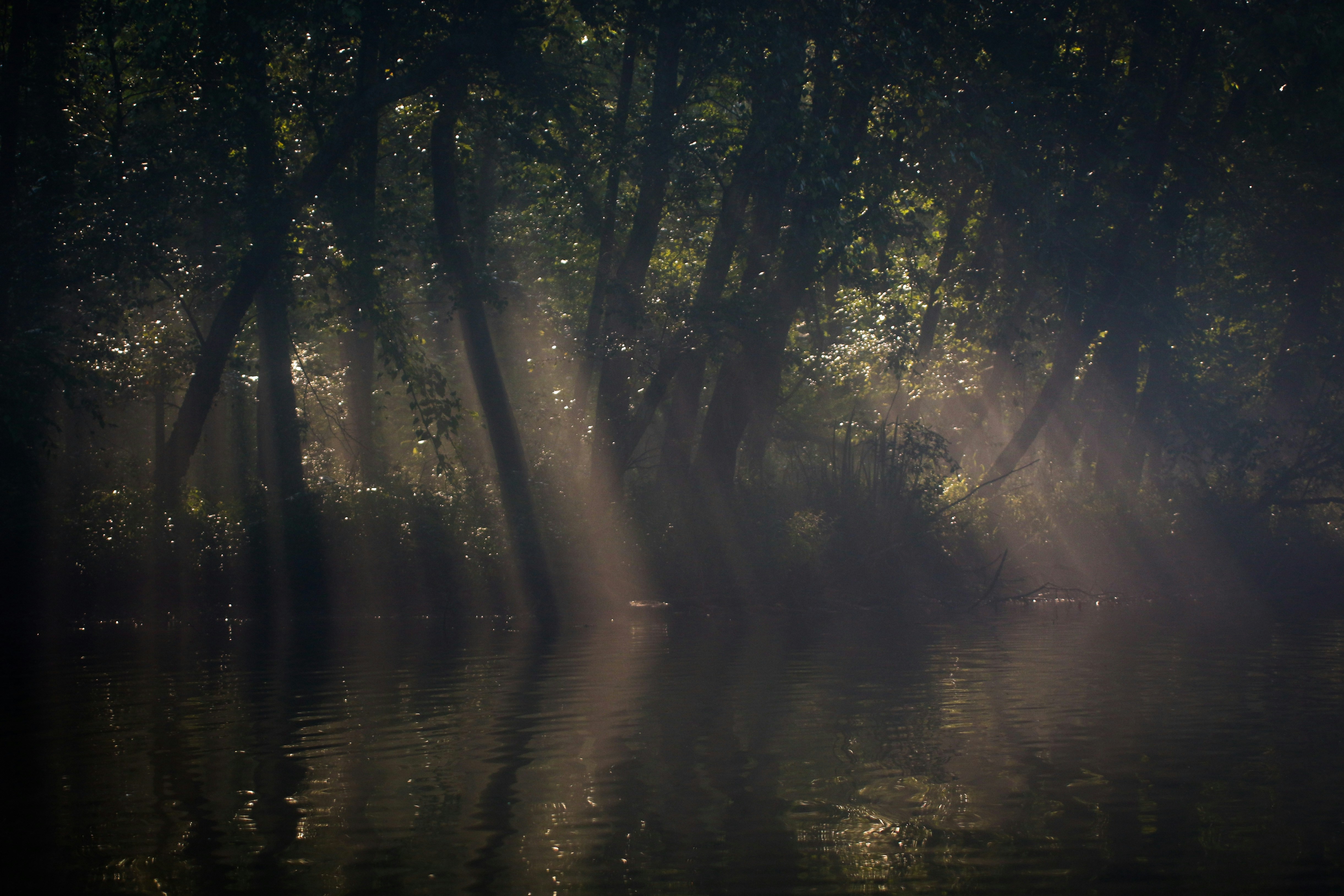 Photo by alla_kemelmakher