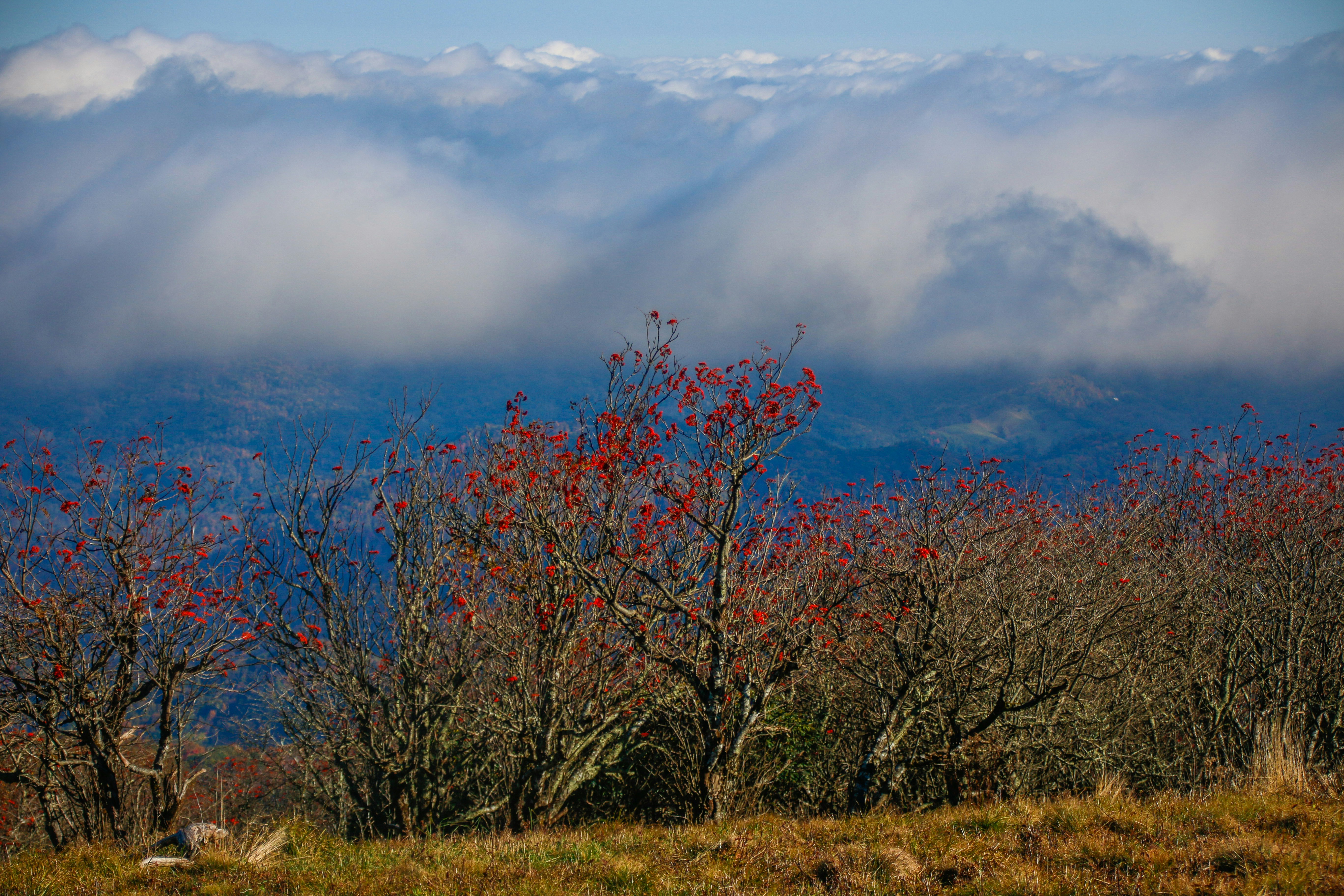 Photo by alla_kemelmakher