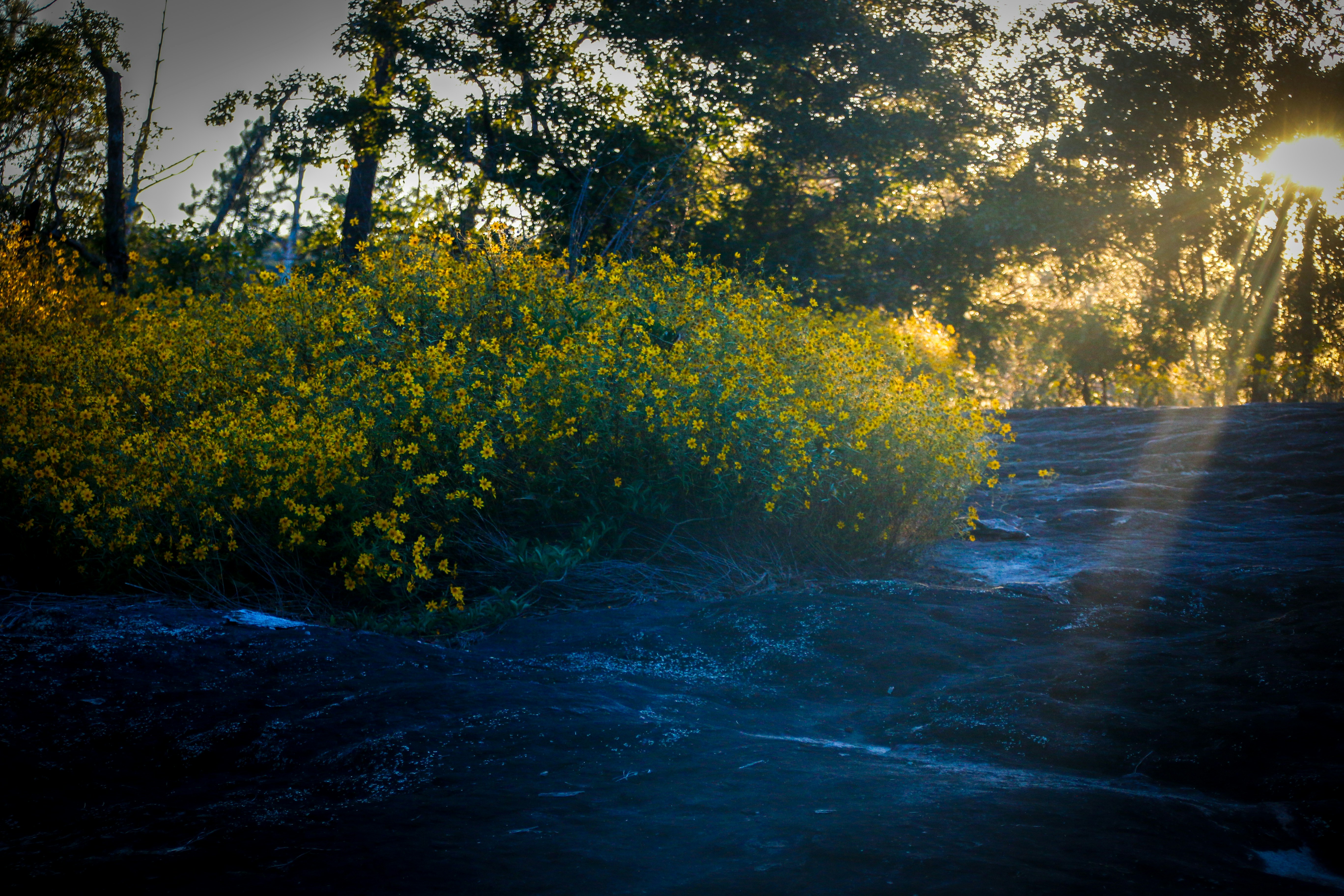 Photo by alla_kemelmakher