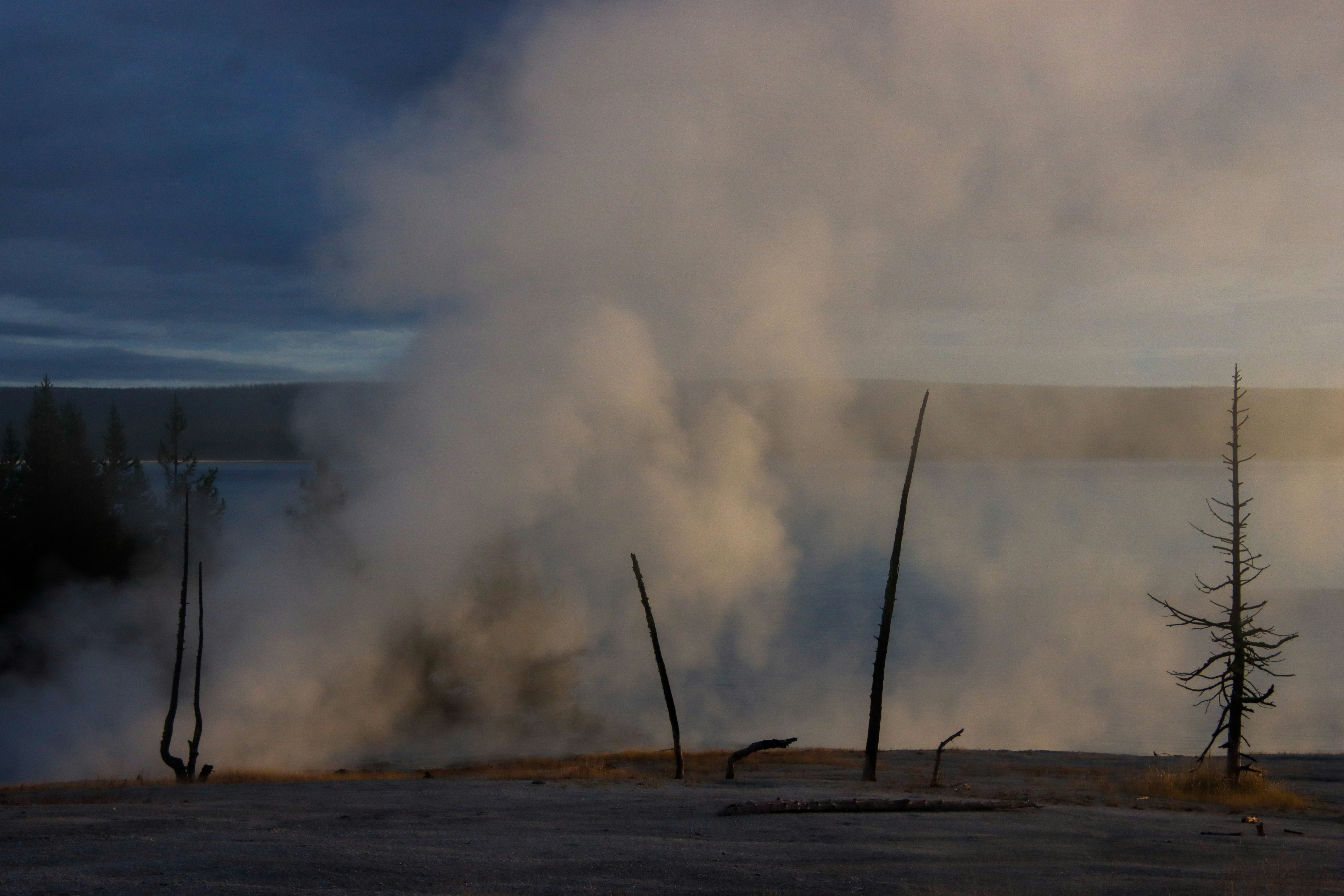 Photo by alla_kemelmakher