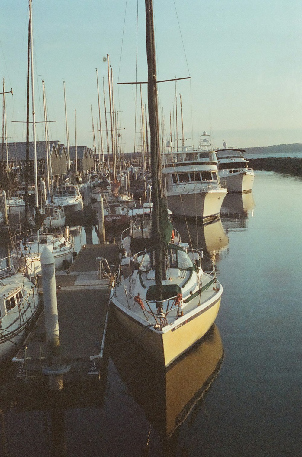 Ein Haufen Boote, die im Wasser sind