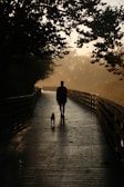 A person walks along a wooden boardwalk accompanied by a small dog. The boardwalk is surrounded by lush trees, and the scene is backlit by a soft, golden light which creates a silhouette effect.
