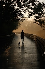 A person walks along a wooden boardwalk accompanied by a small dog. The boardwalk is surrounded by lush trees, and the scene is backlit by a soft, golden light which creates a silhouette effect.